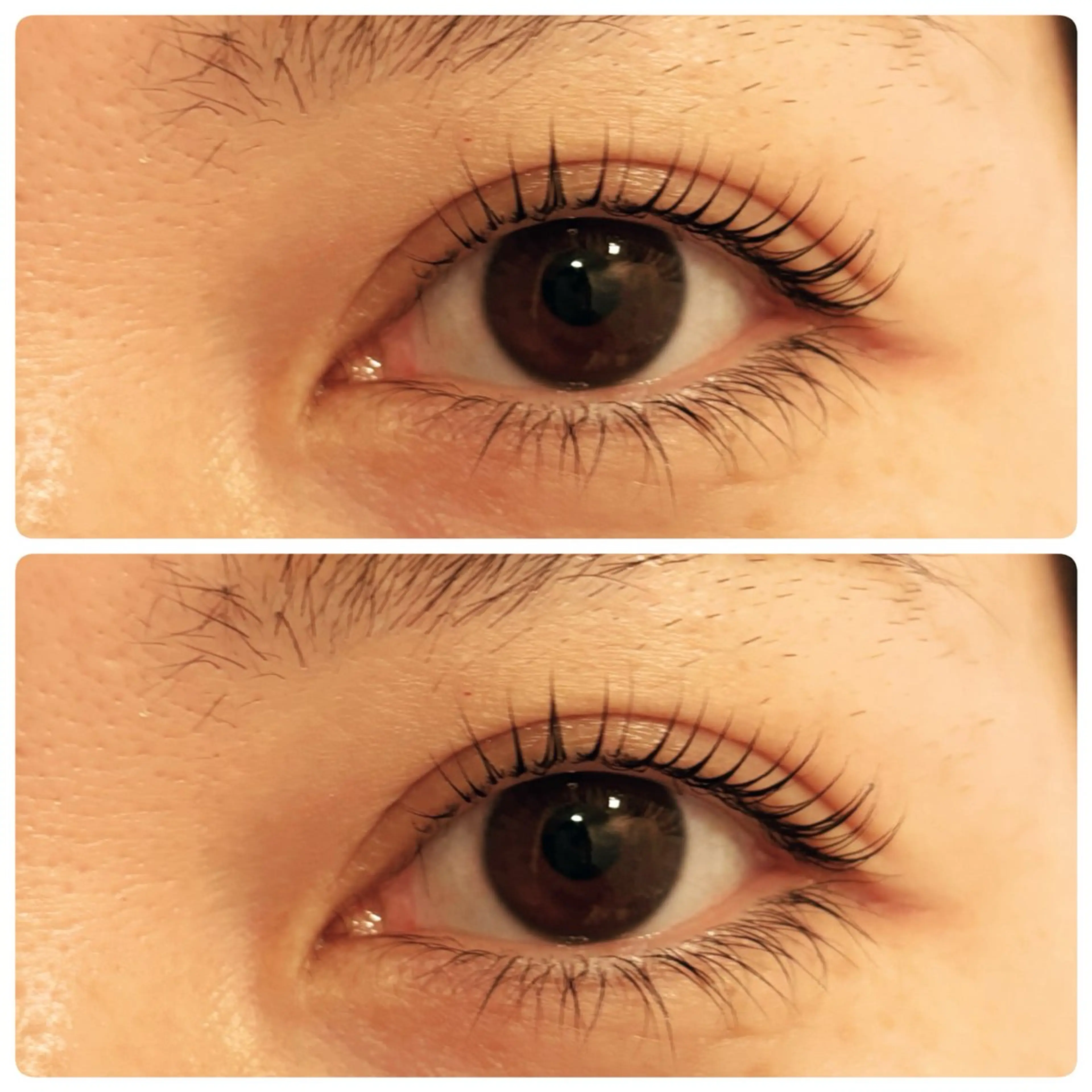 マツエク・マツパ マツパ 🌻SUZUKA .K🌻のマツエク・マツパデザイン