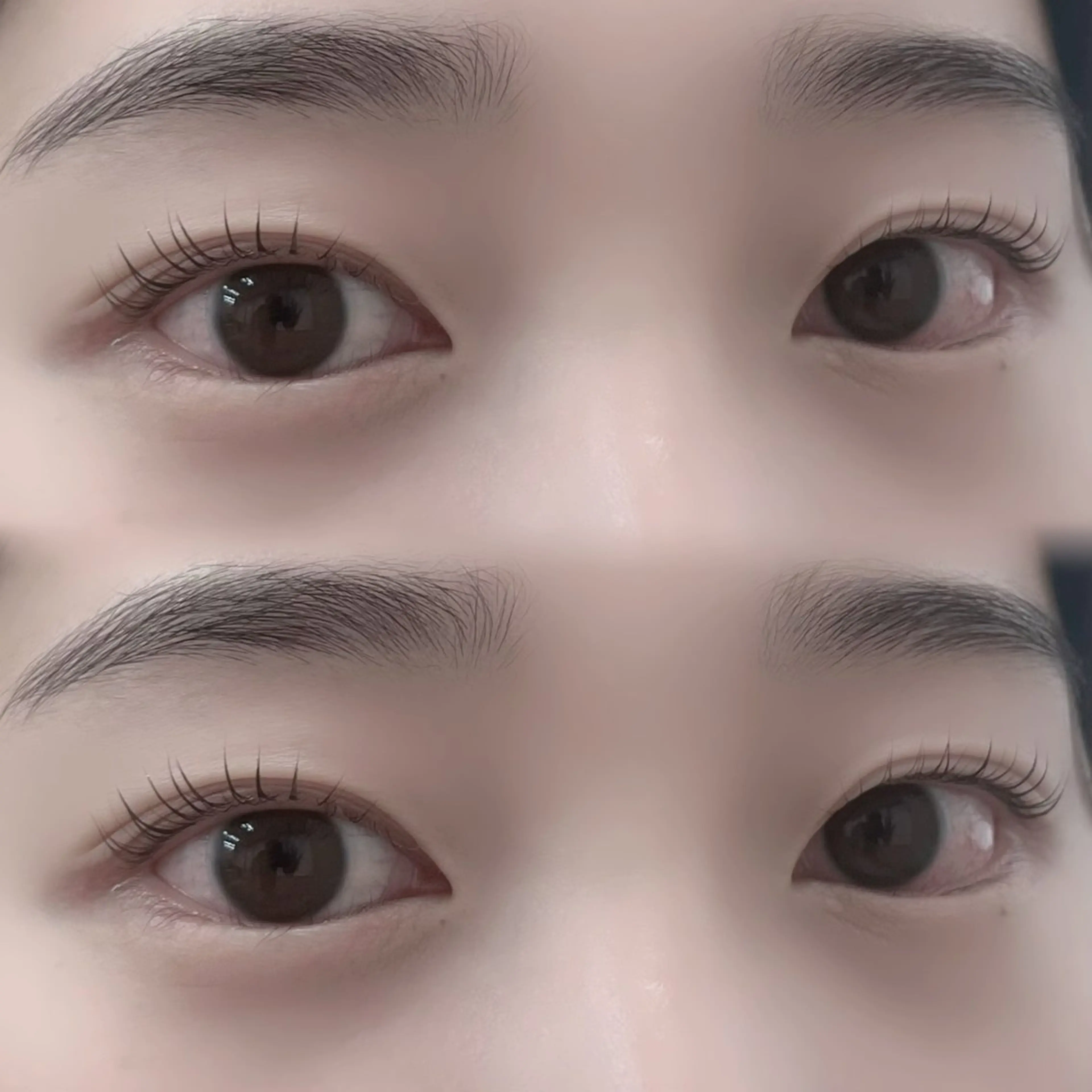 【4月限定🌸】まつげパーマ[上のみ]＆アイブロウWAX✨《武蔵浦和/戸田/北戸田》の写真