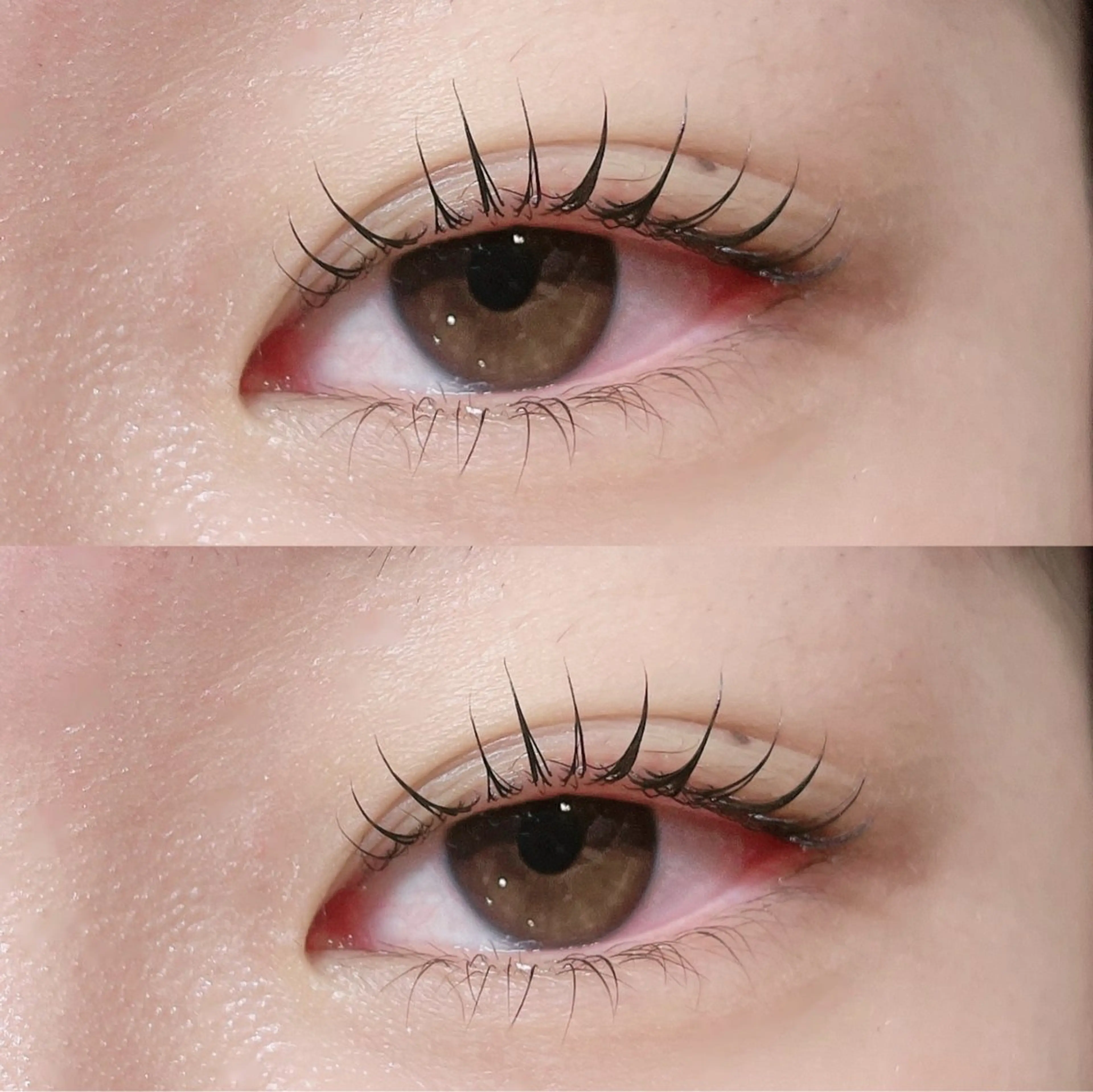 マツエク・マツパ 韓国風マツエク パリジェンヌラッシュリフト まつげパーマ 下まつげエクステ 一重×まつ毛パーマ マツパ 🎀Lino 中目黒 TAKAMI🐈のマツエク・マツパデザイン