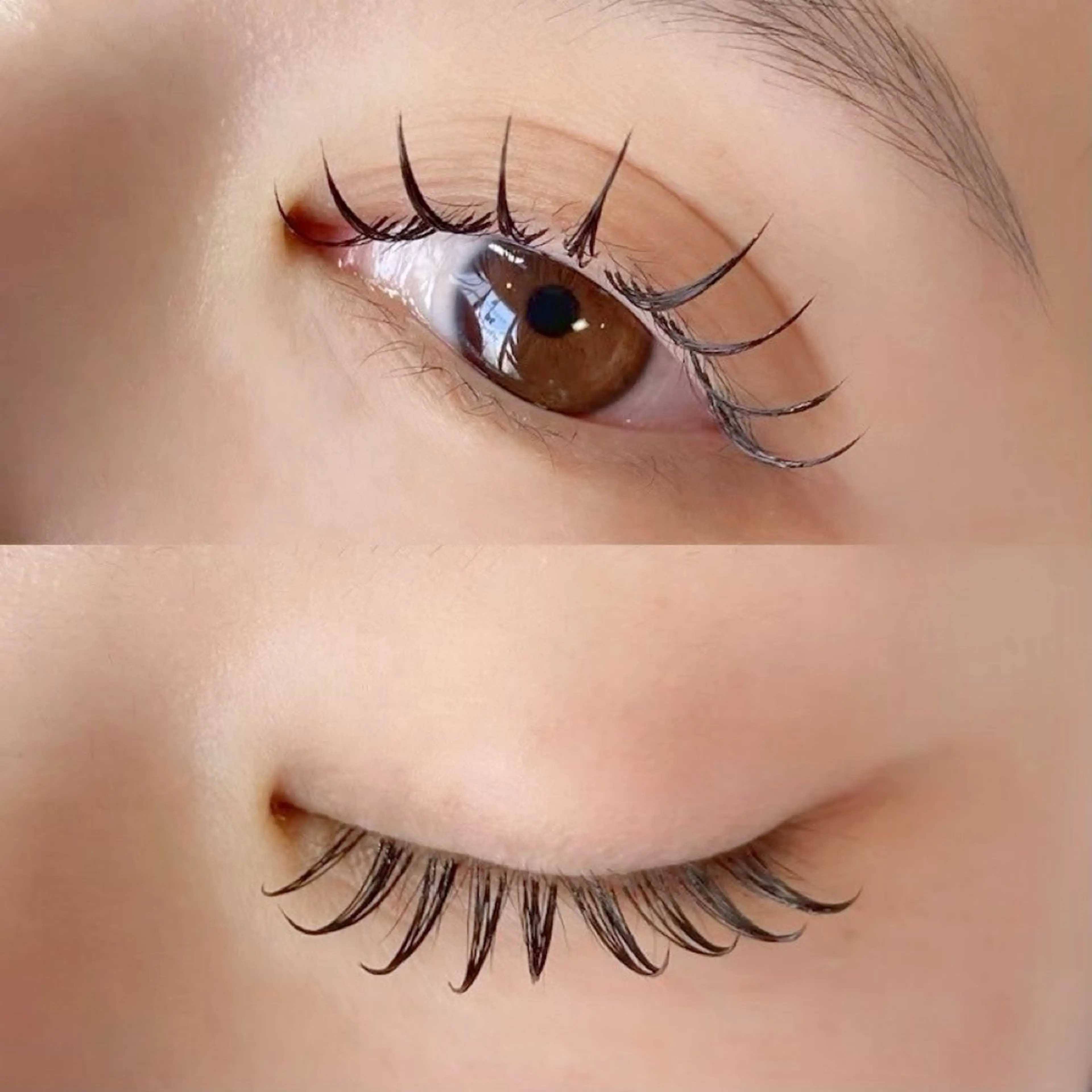 マツエク・マツパ フラットラッシュ Butterfly 秦のマツエク・マツパデザイン