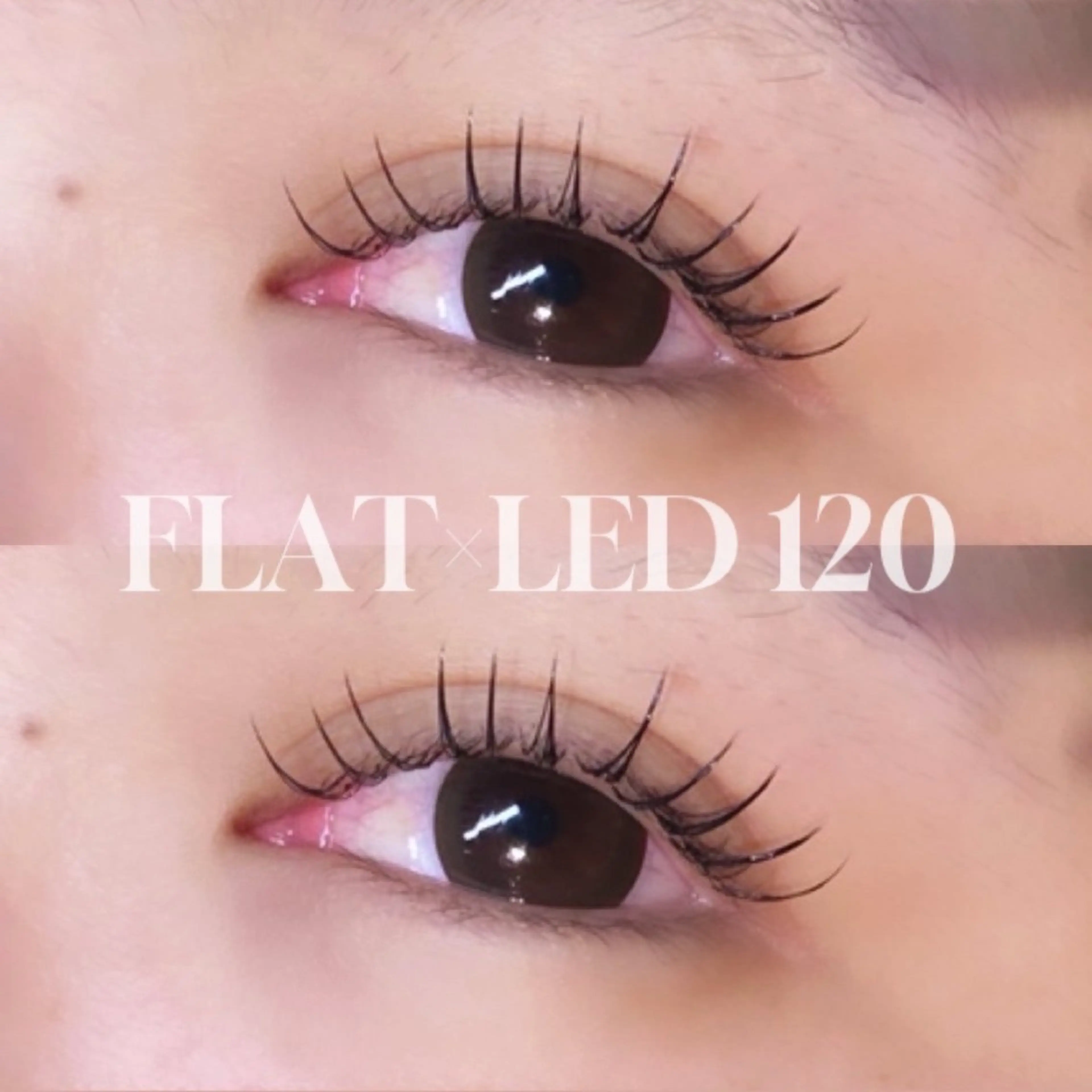 🫧LEDエクステ🫧120本🥣オフ可◎ご新規様5900円・顧客様6900円の写真