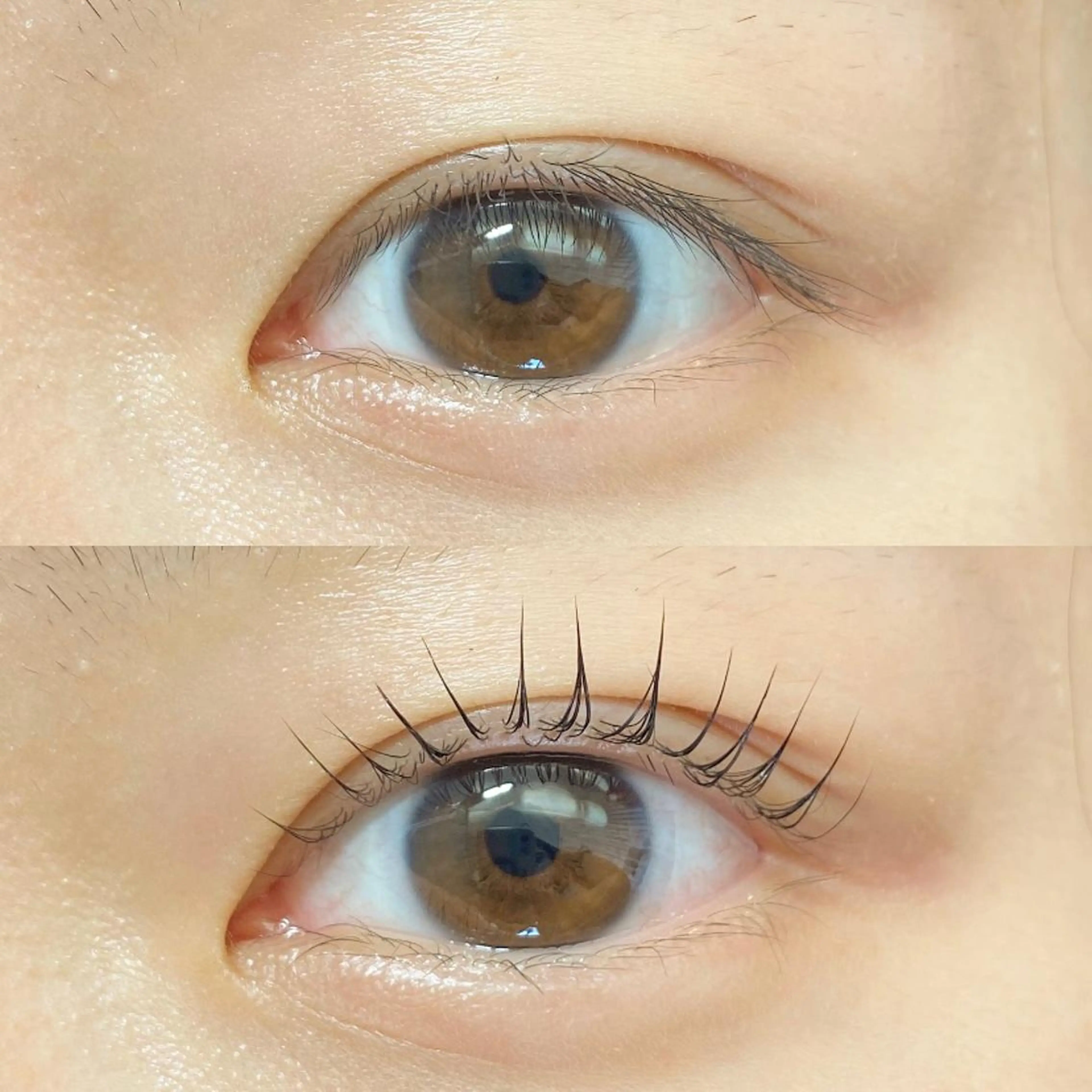 マツエク・マツパ or LATTe 仙台店のマツエク・マツパデザイン