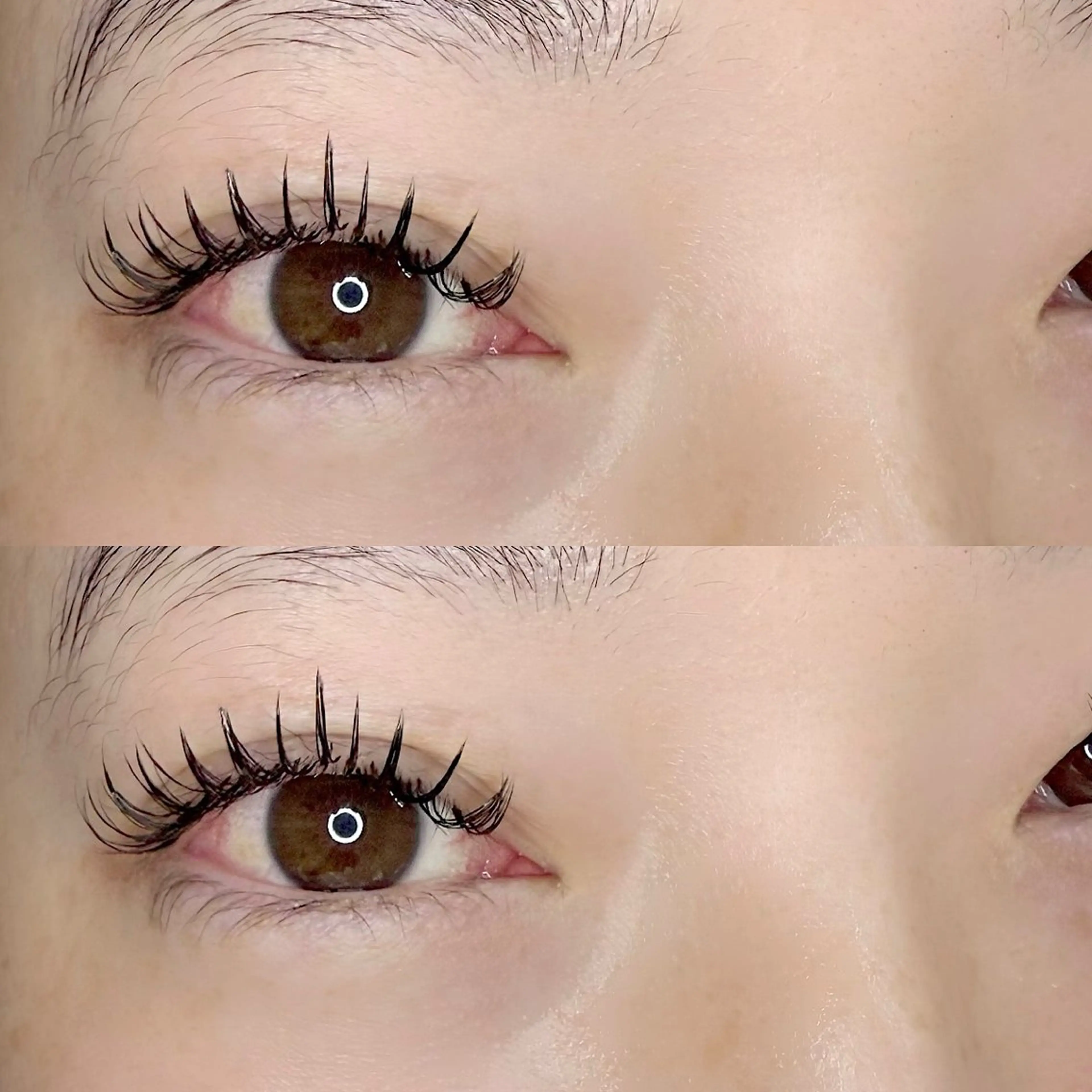 セーブルラッシュ 付け放題(オフ込)🌻コーティング仕上げ付の写真