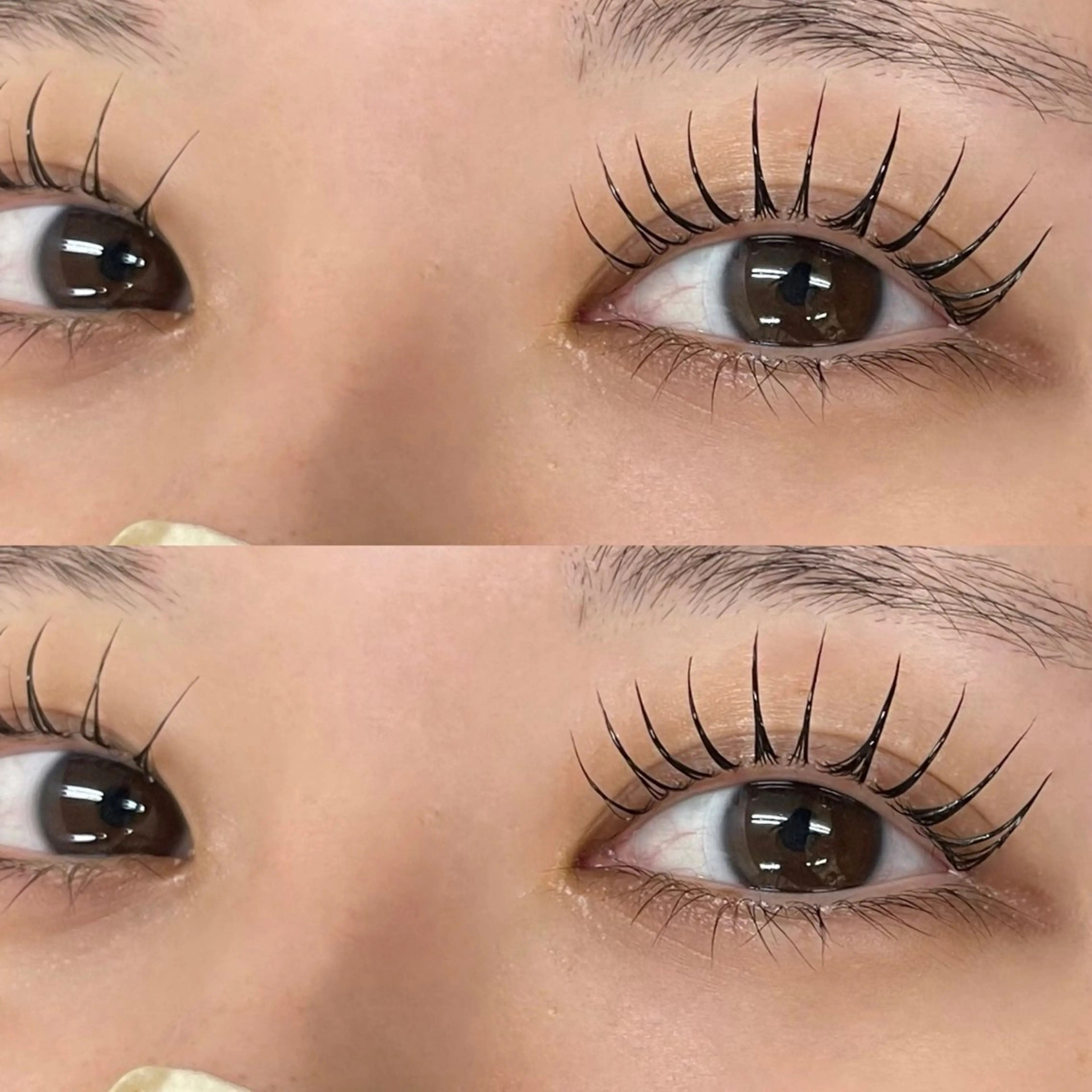 🍇🧶LEDマツエク100本+コスメラッシュリフト🧶🍇美容液コーティング仕上げ💫の写真