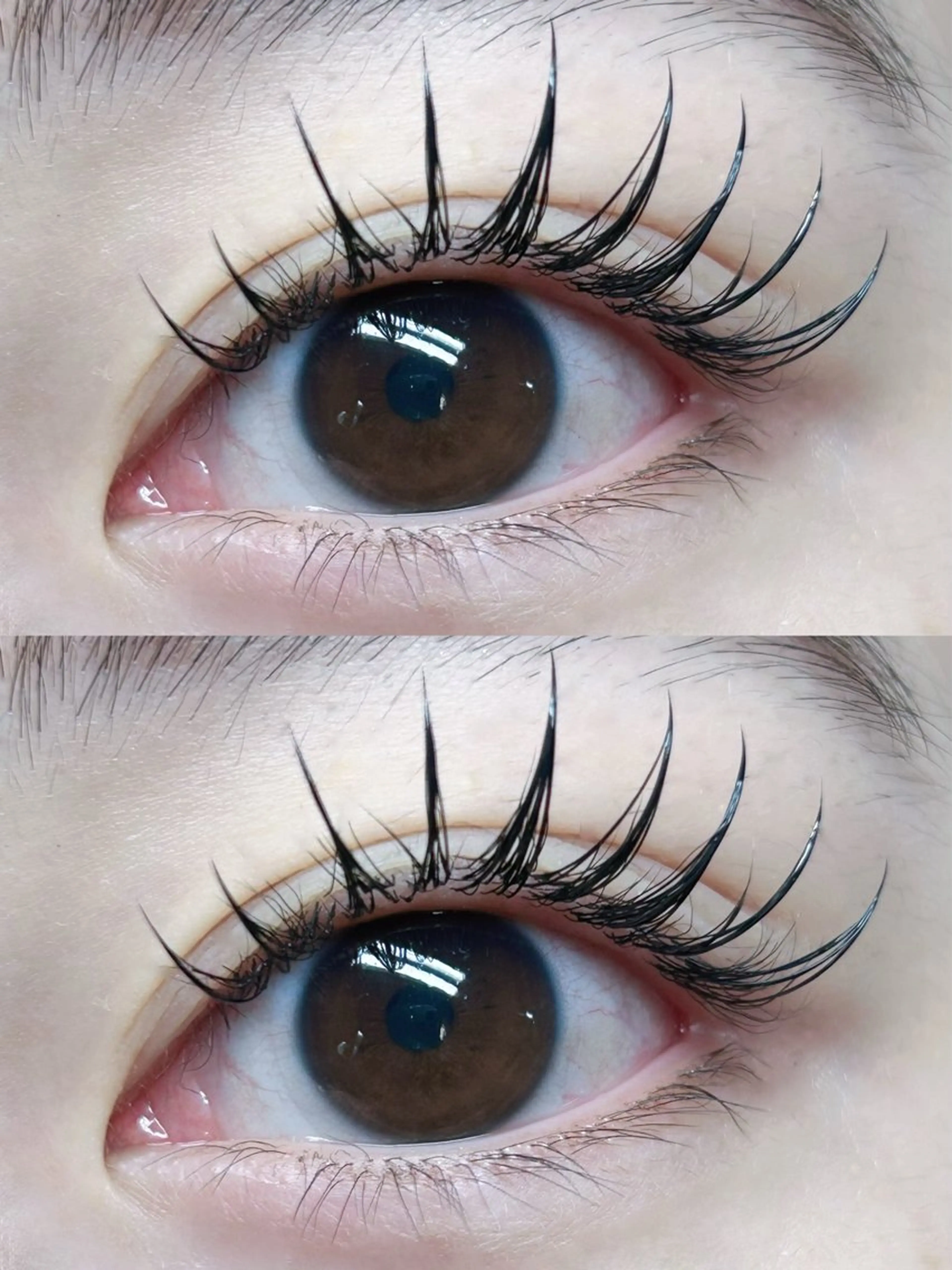 マツエク・マツパ ワンホンデザイン 専門店 FOIのマツエク・マツパデザイン