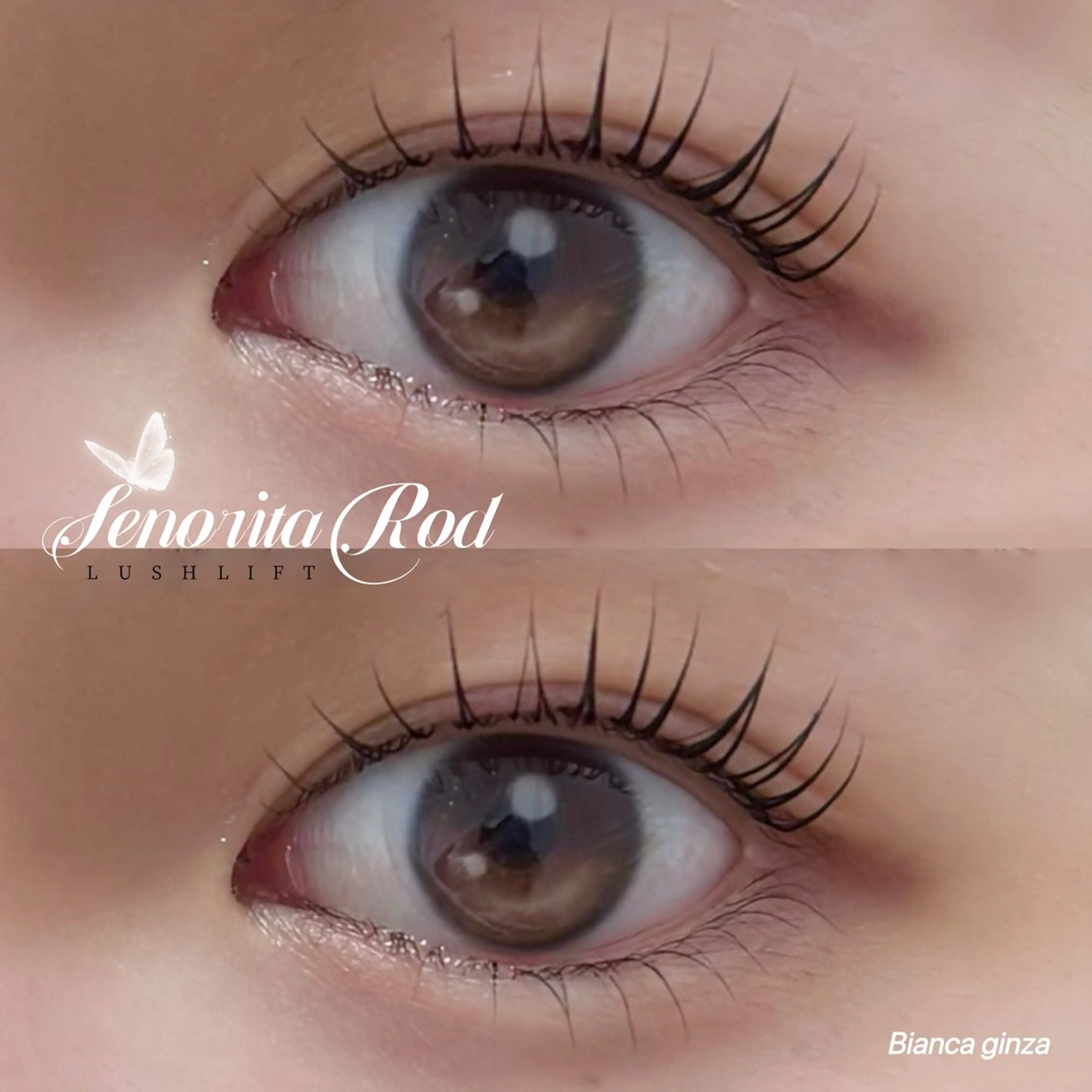 マツエク・マツパ Bianca 銀座 Sakuraiのその他イメージ