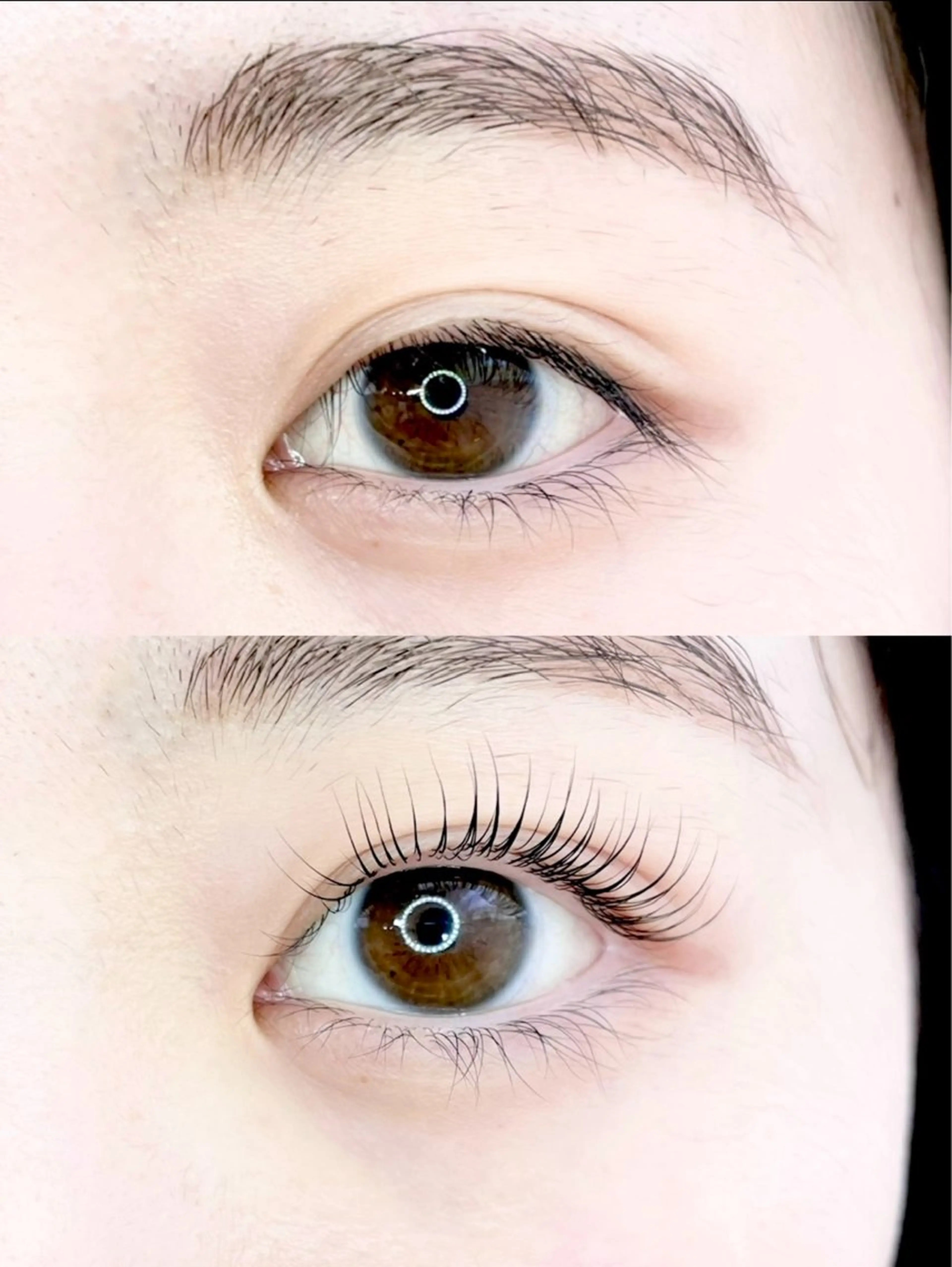 🌼まつ毛パーマ/パリジェンヌ＋Trコーティング付きの写真