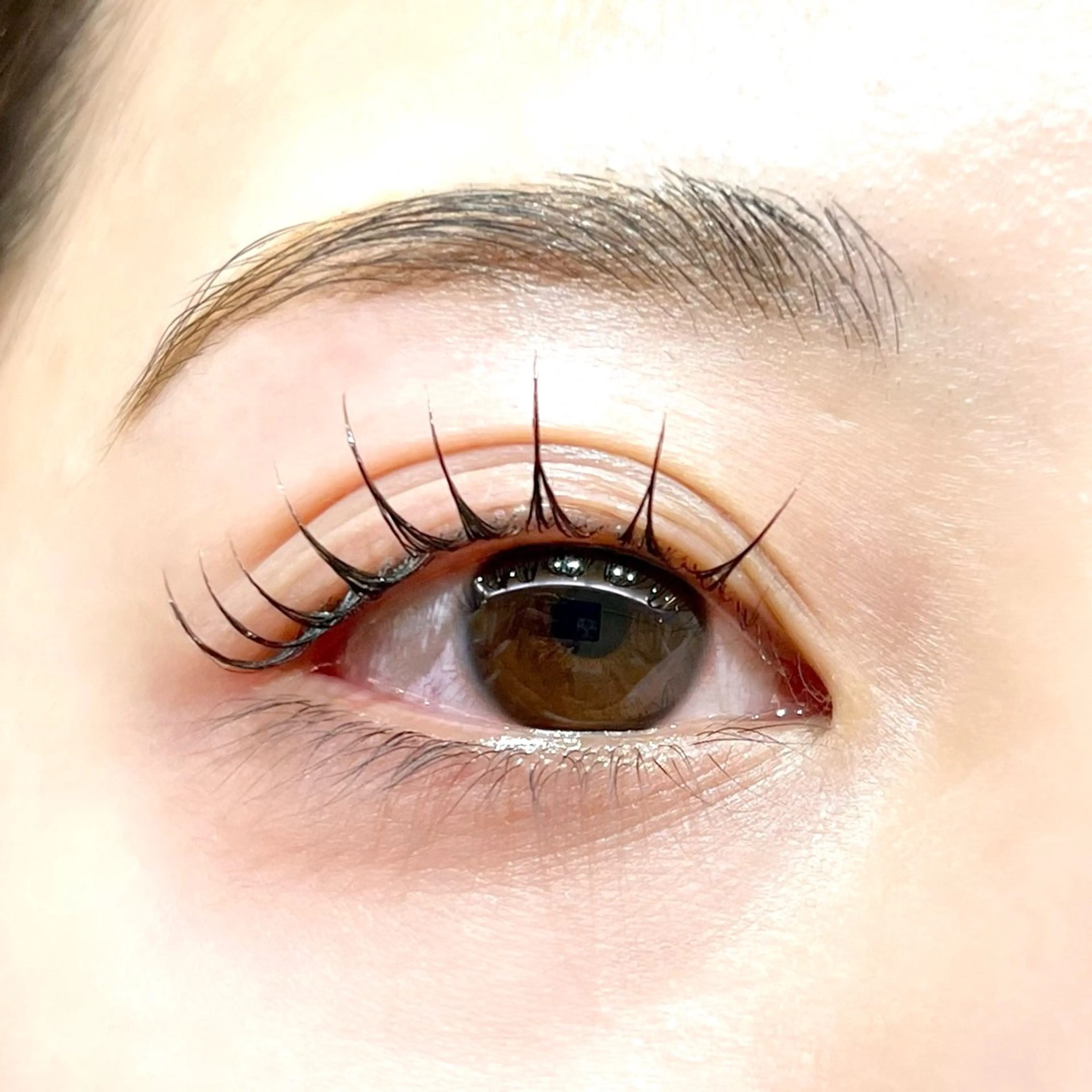 マツエク・マツパ 束感まつ毛 マツパ Fukushi📍 【5/31最終出勤】のマツエク・マツパデザイン