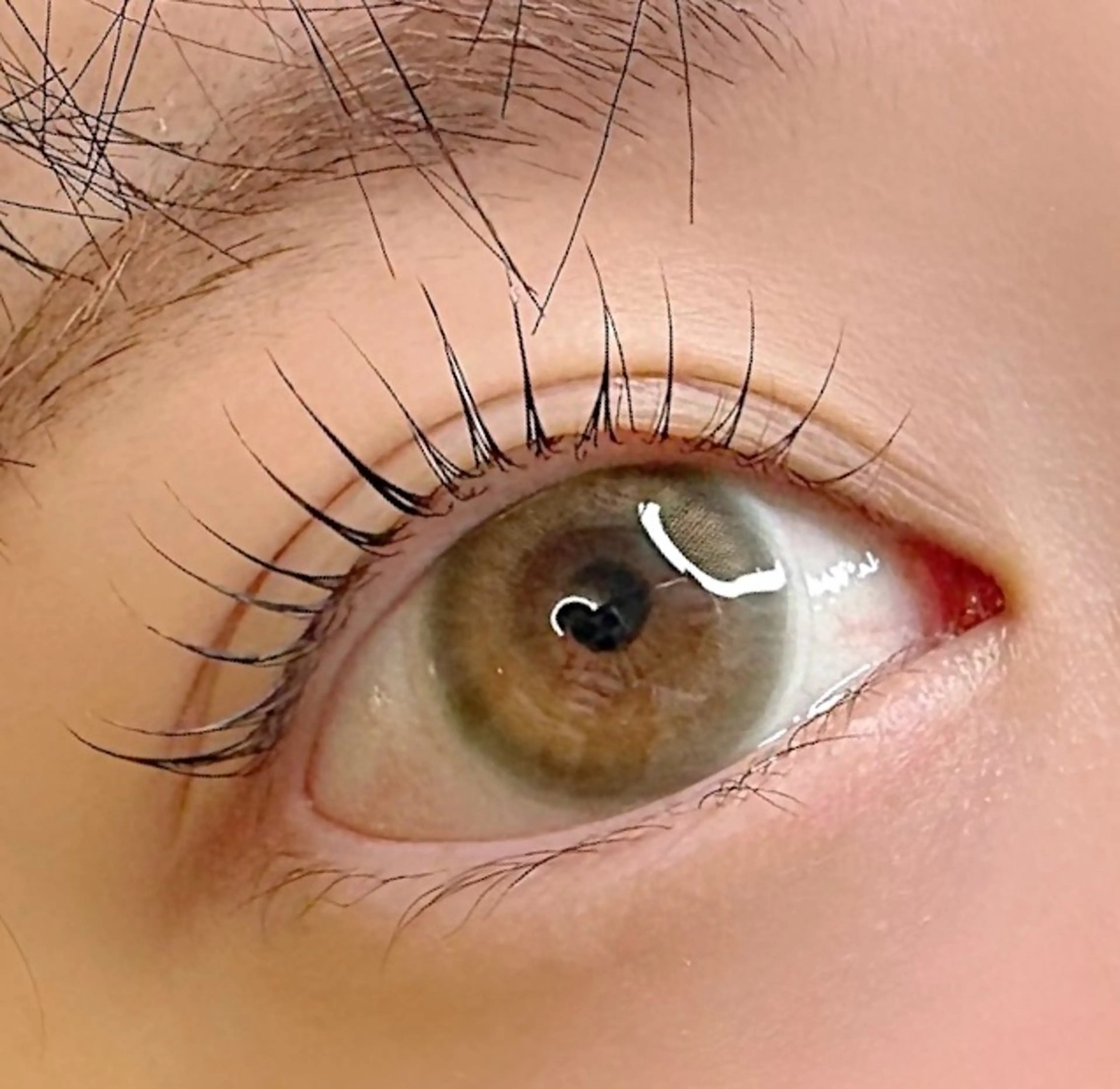 マツエク・マツパ マツパ Citrine eyelash ✿のマツエク・マツパデザイン