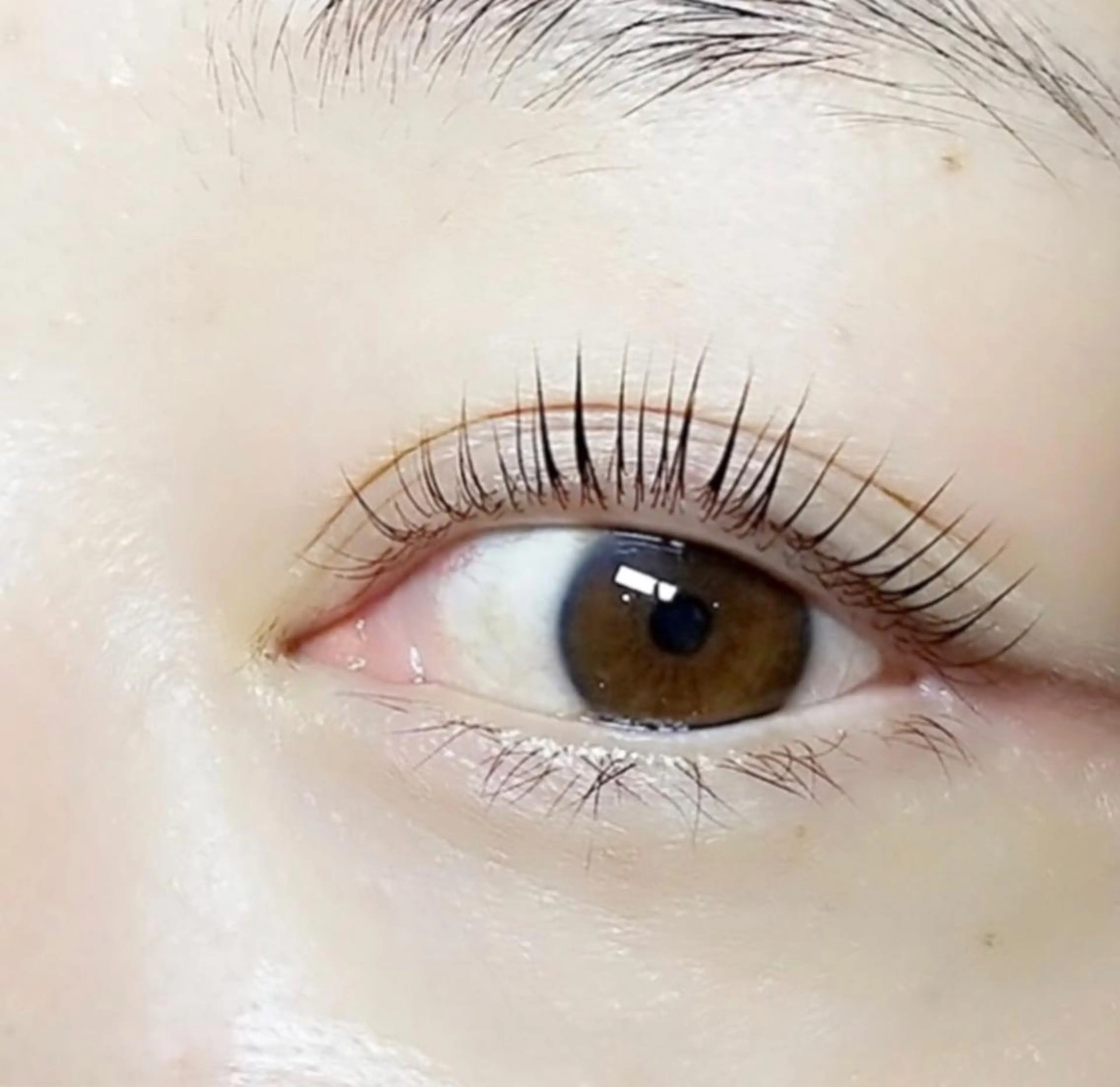 上まつげパーマ⭐︎お仕上げにコーティング入り美容液⭐︎の写真