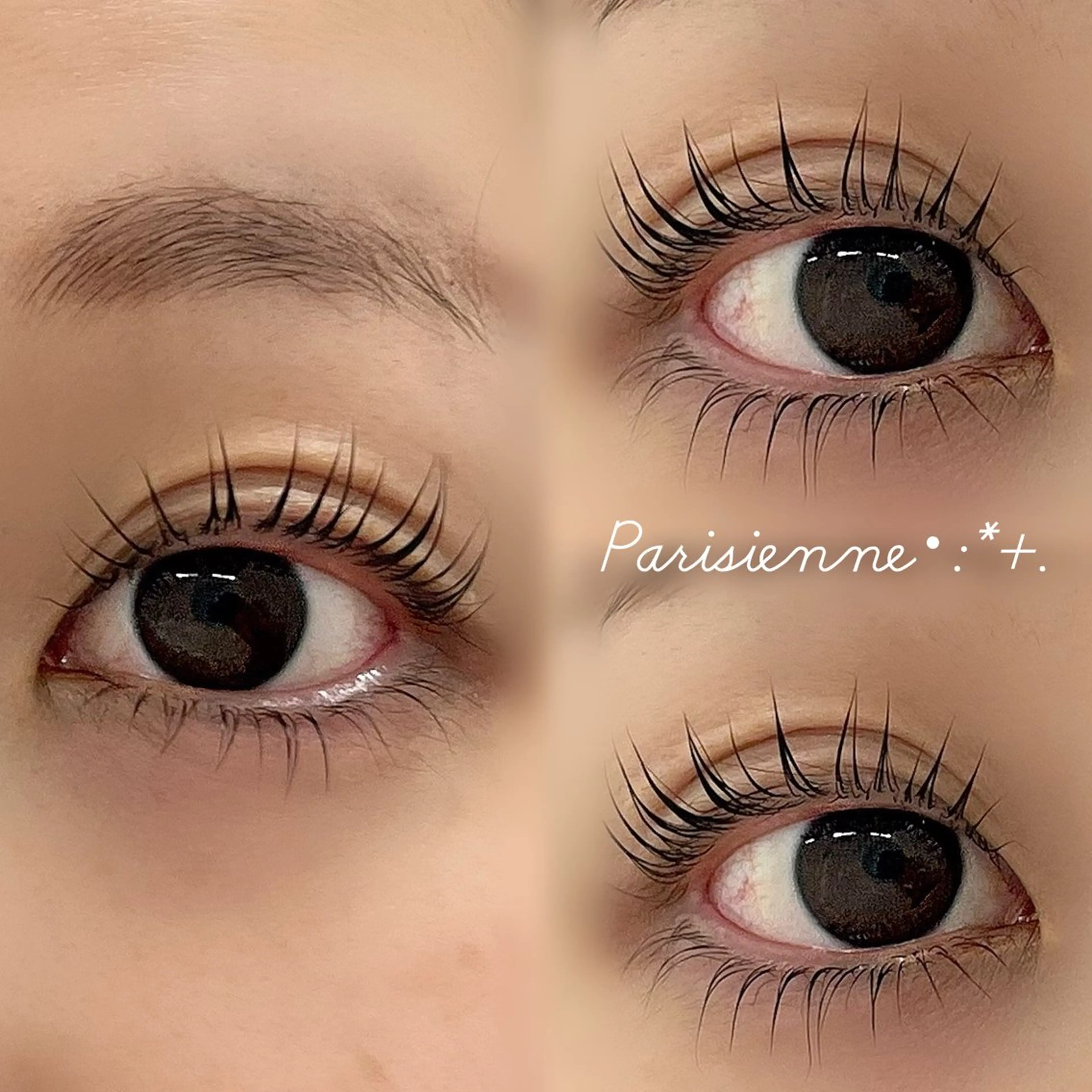 まつ毛パーマorパリジェンヌ🦎🦖(下のみ、エクステオフあり)の写真
