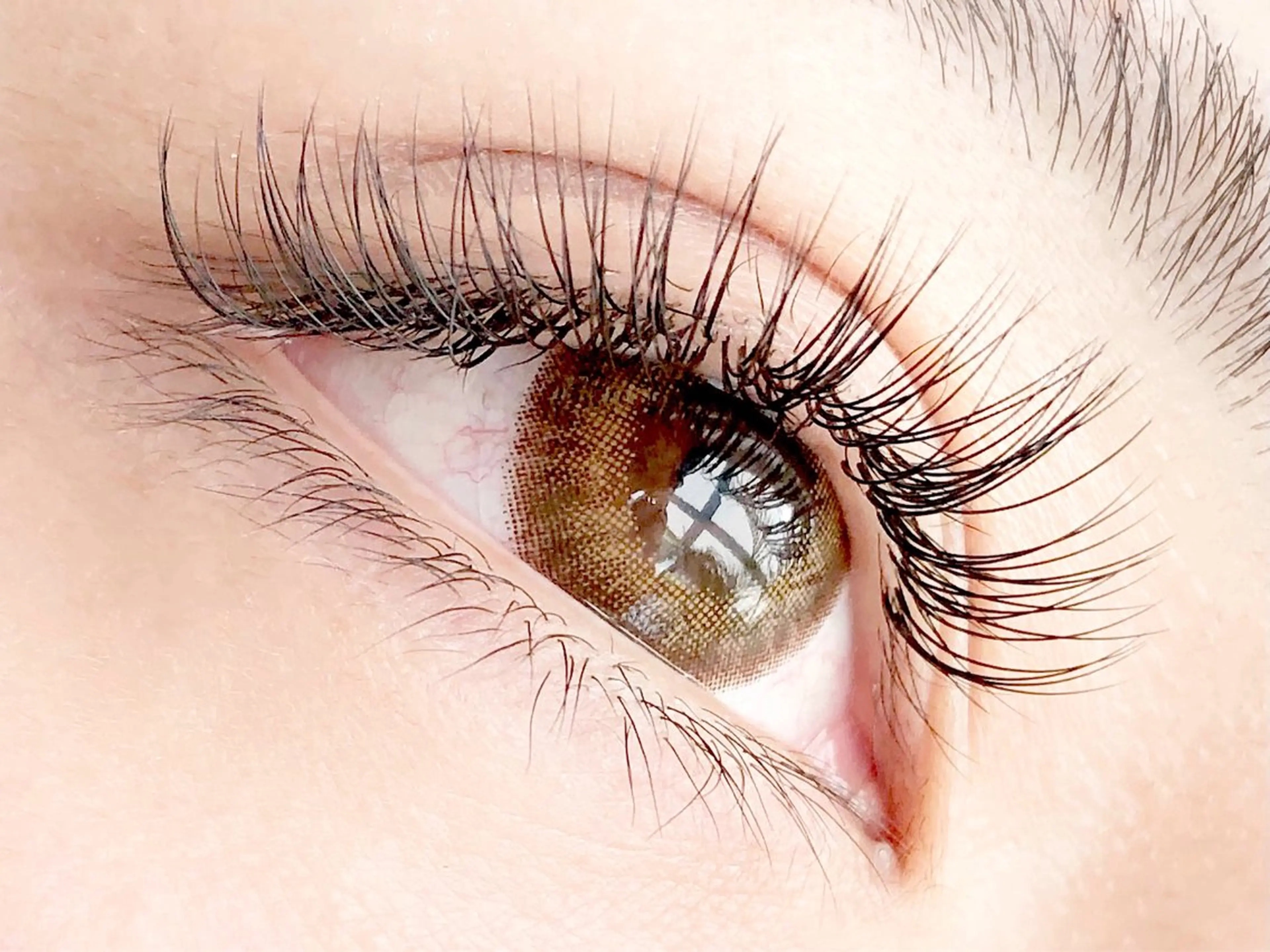 まつ毛エクステつけ放題✨大人気のフラットラッシュの写真