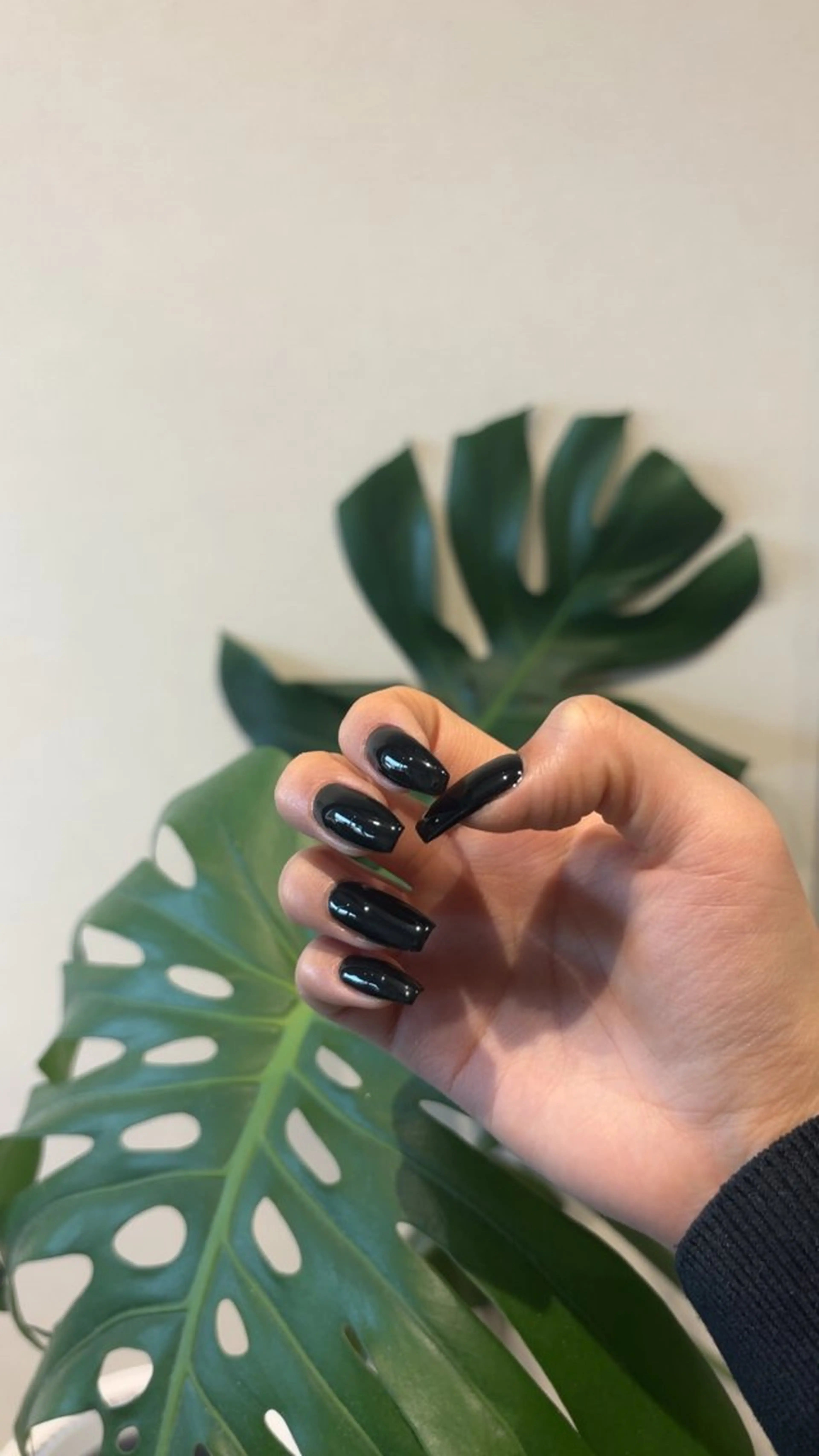 ネイル nailgarden SOLA.のネイルデザイン