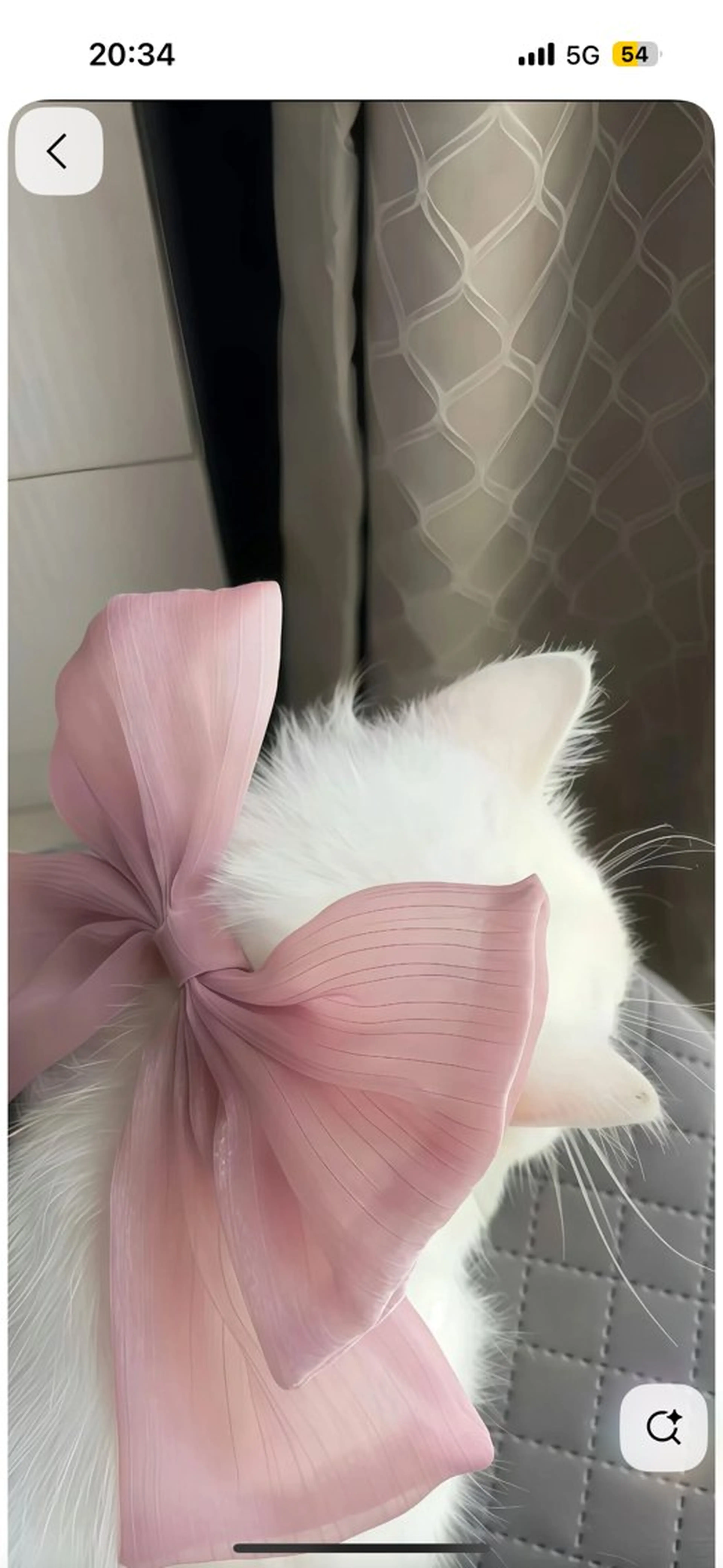 マツエク・マツパ anna🎀🫧 amii.横浜鶴屋町のマツエク・マツパデザイン