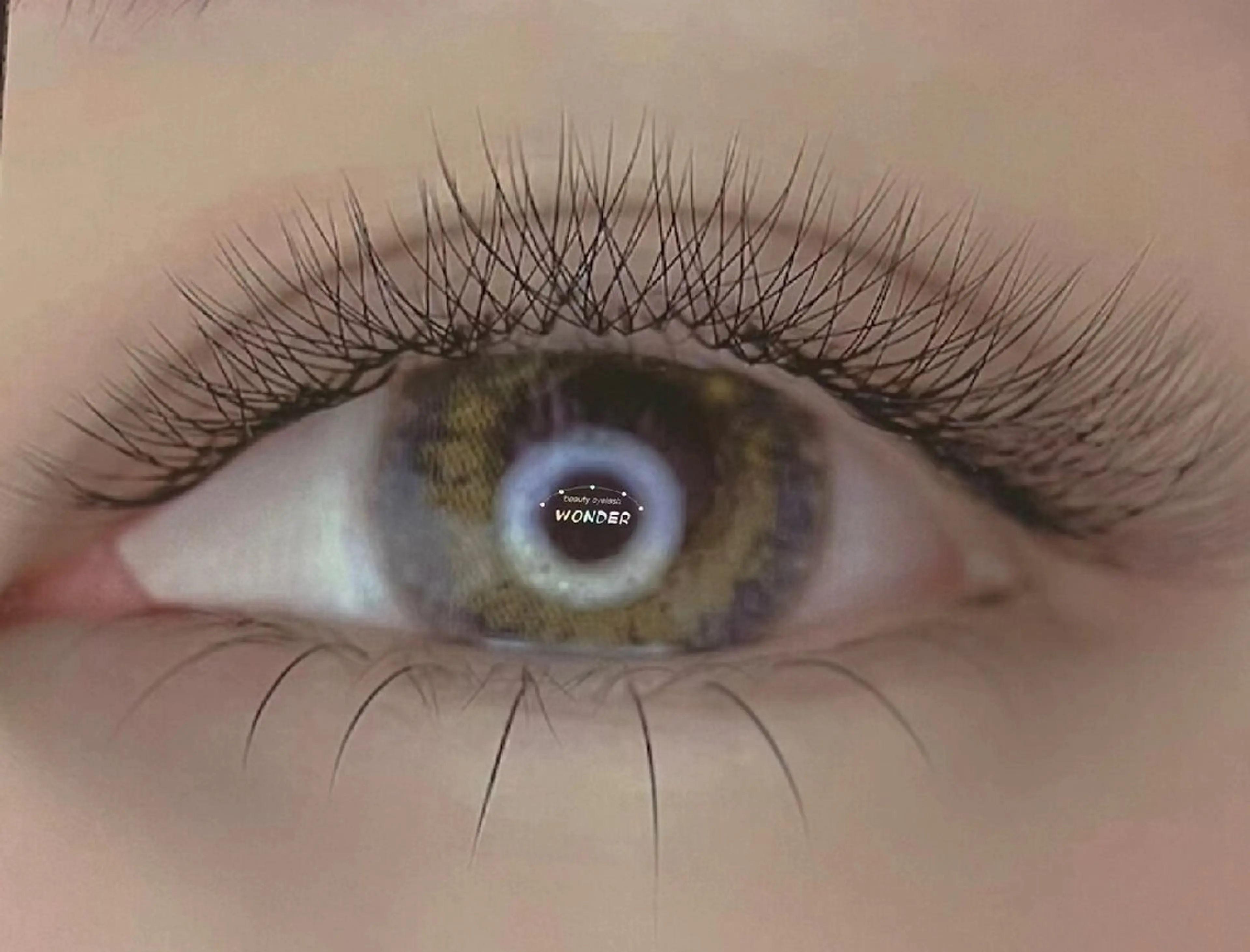 【開花YYo3Dボリュームラッシュ】80束【160本-240本】ご新規様オフ無料の写真