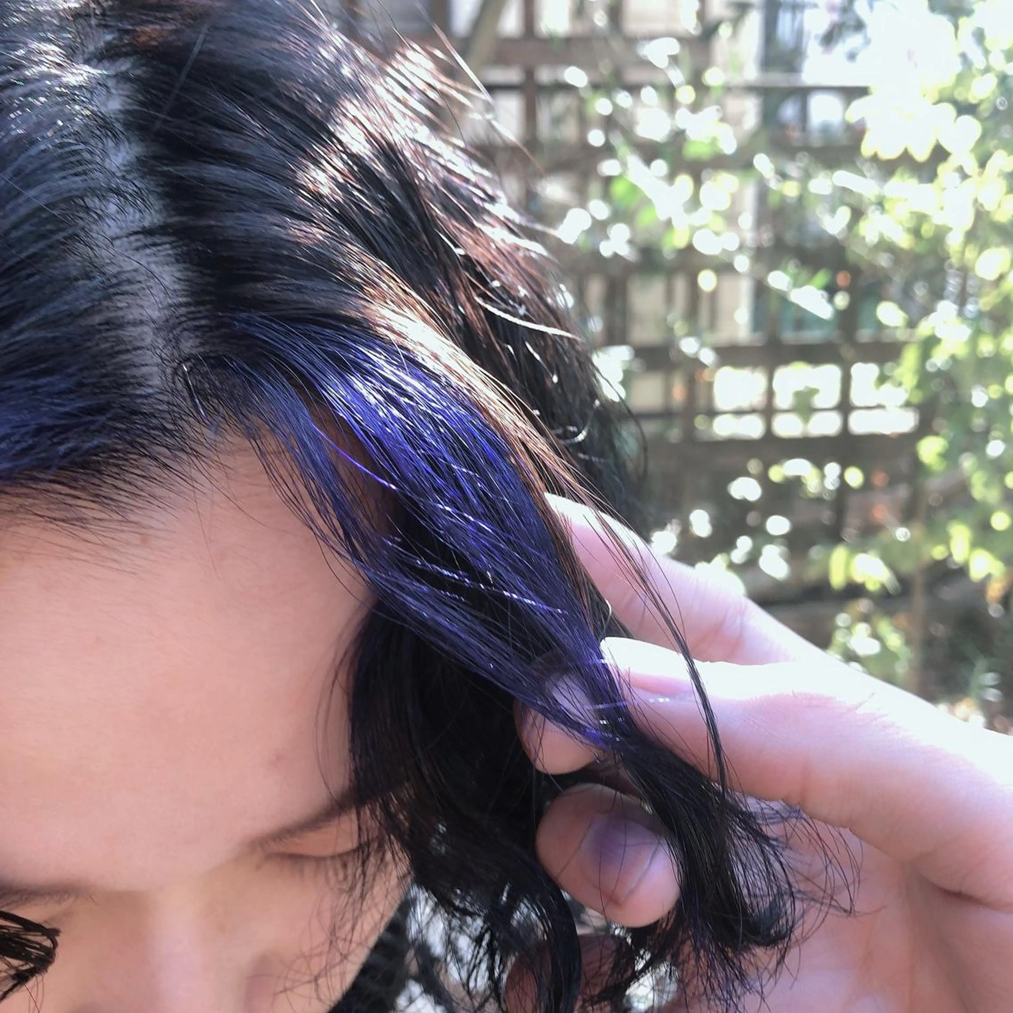 ショート カラー MASANA 🎱ディレクターのヘアスタイル