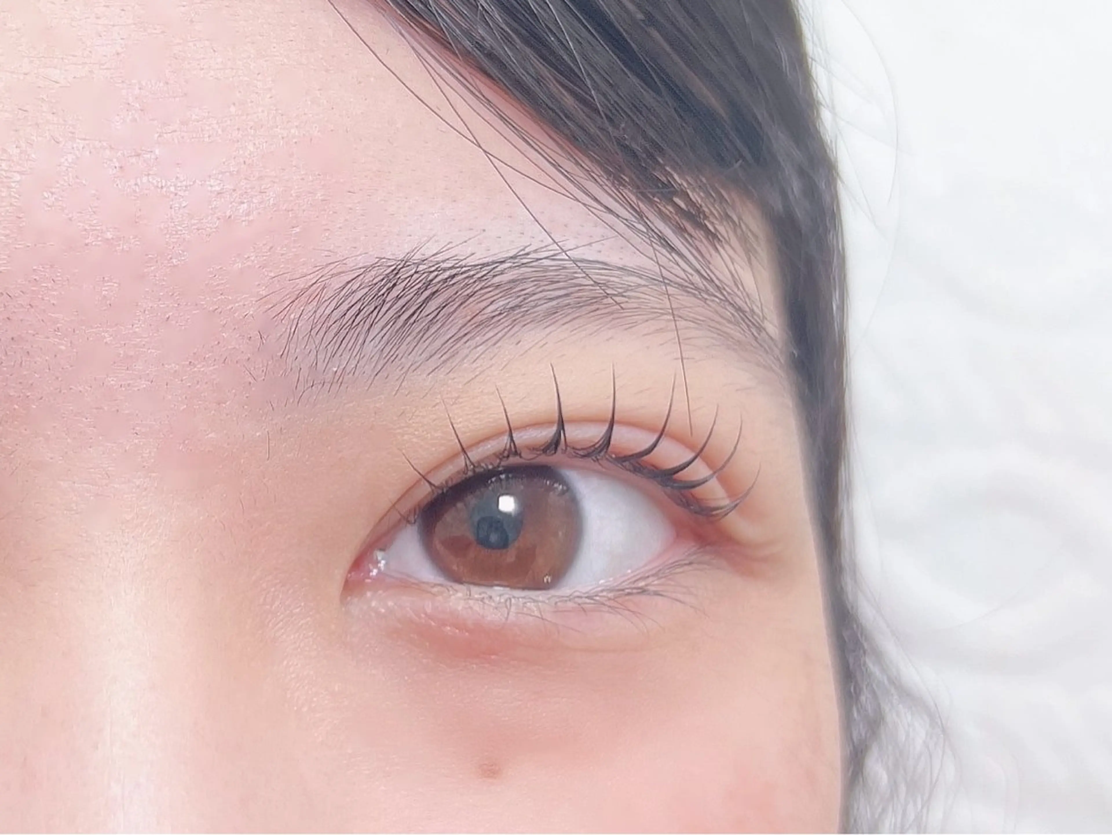 マツエク・マツパ マツパ Chipi Eyelashの眉毛・アイブロウイメージ
