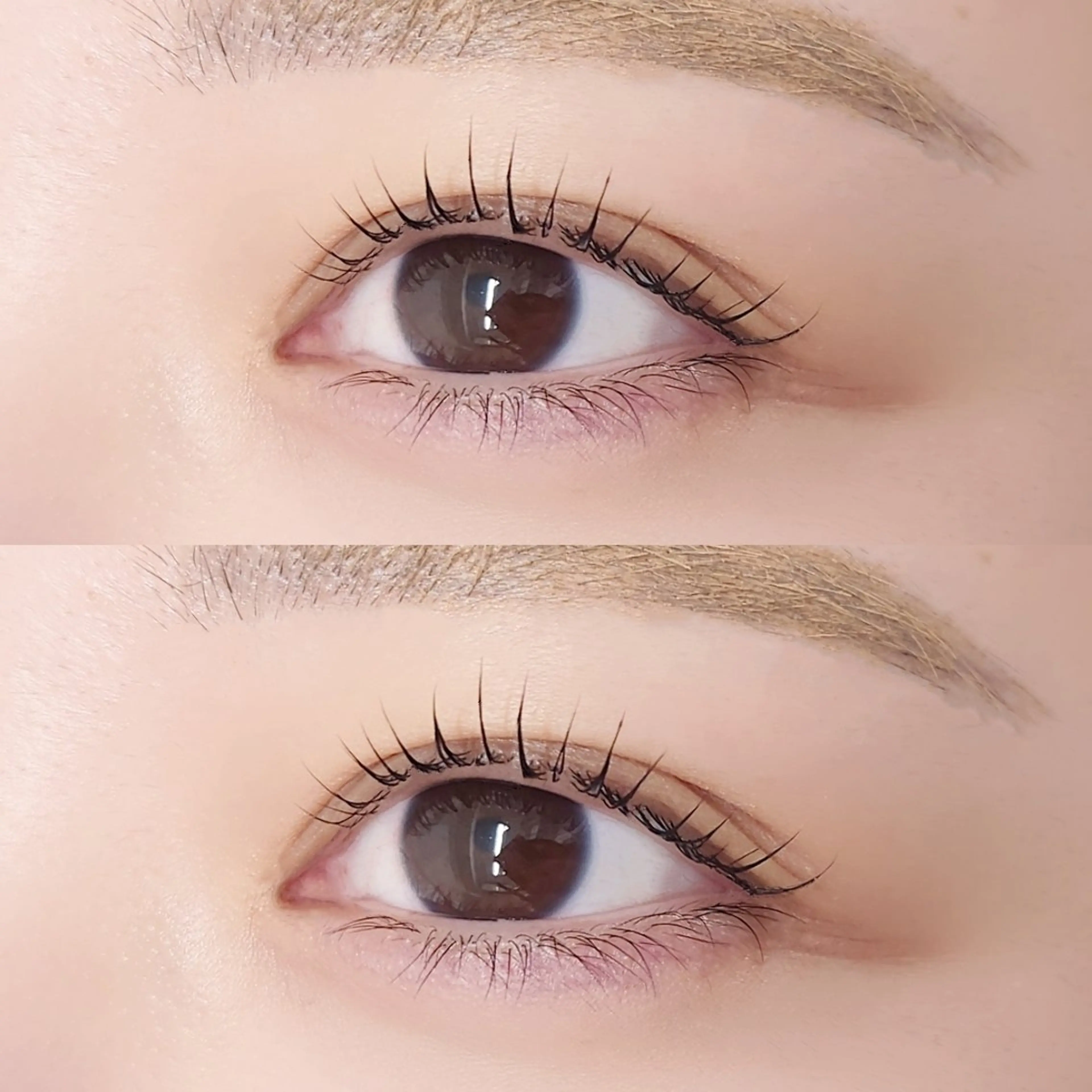 【新規】❤︎オーダーメイドまつげパーマ︎❤︎の写真