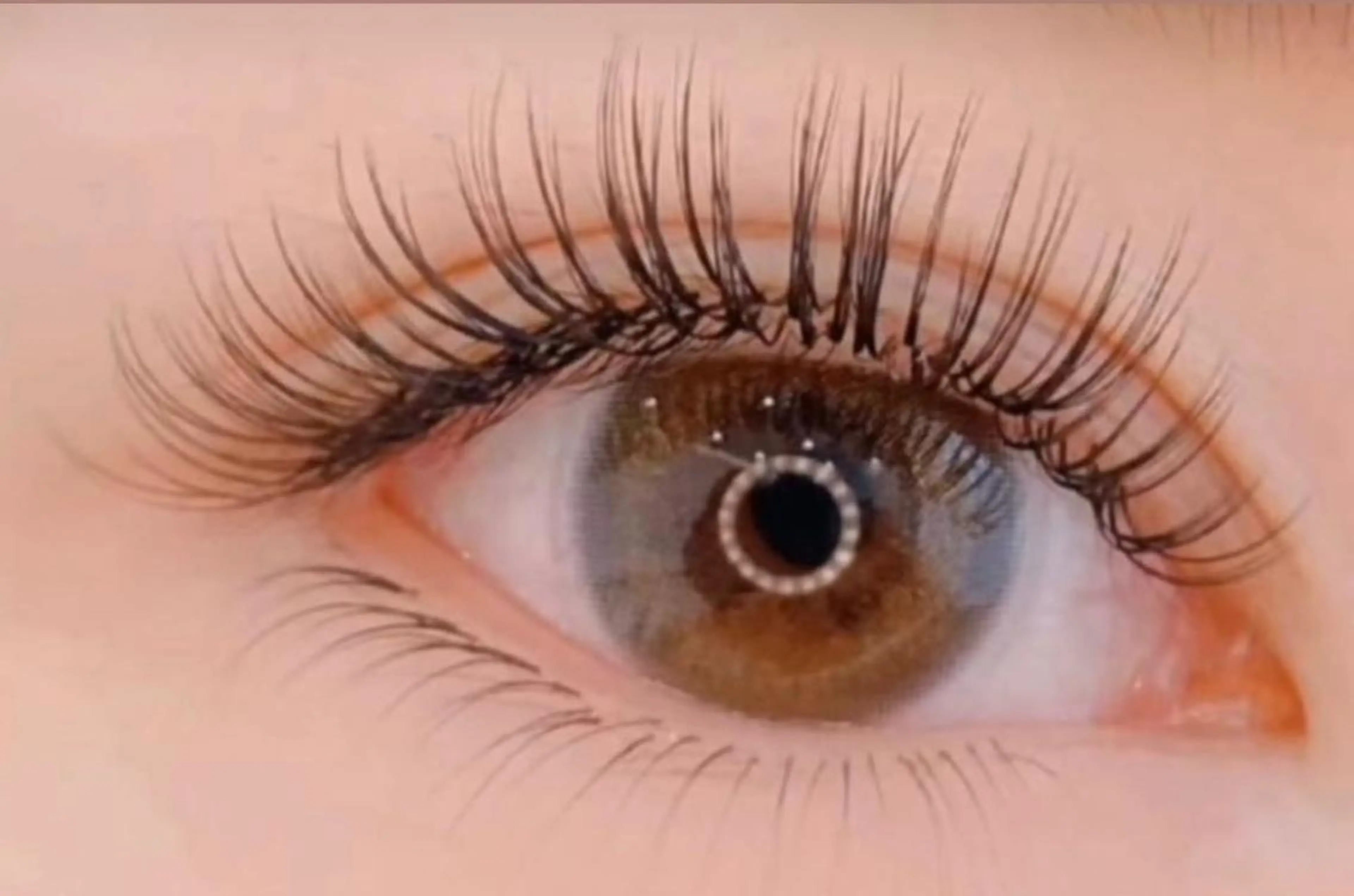 パリエク🦩パリジェンヌ（上まつ毛）+ フラットラッシュ 140本キープ美容液 🧚🏼の写真