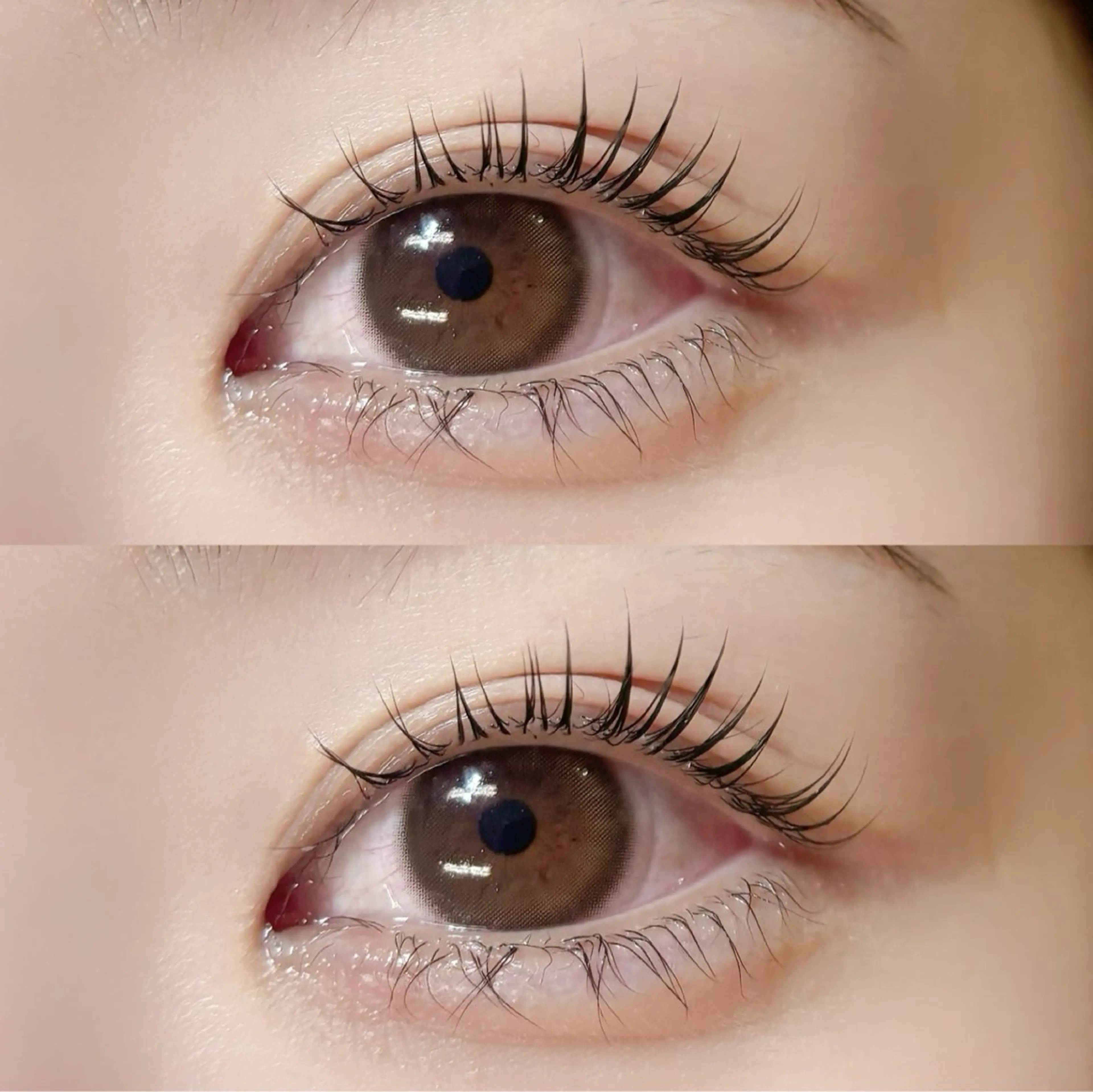 マツエク・マツパ daisy天王寺 松山のマツエク・マツパデザイン