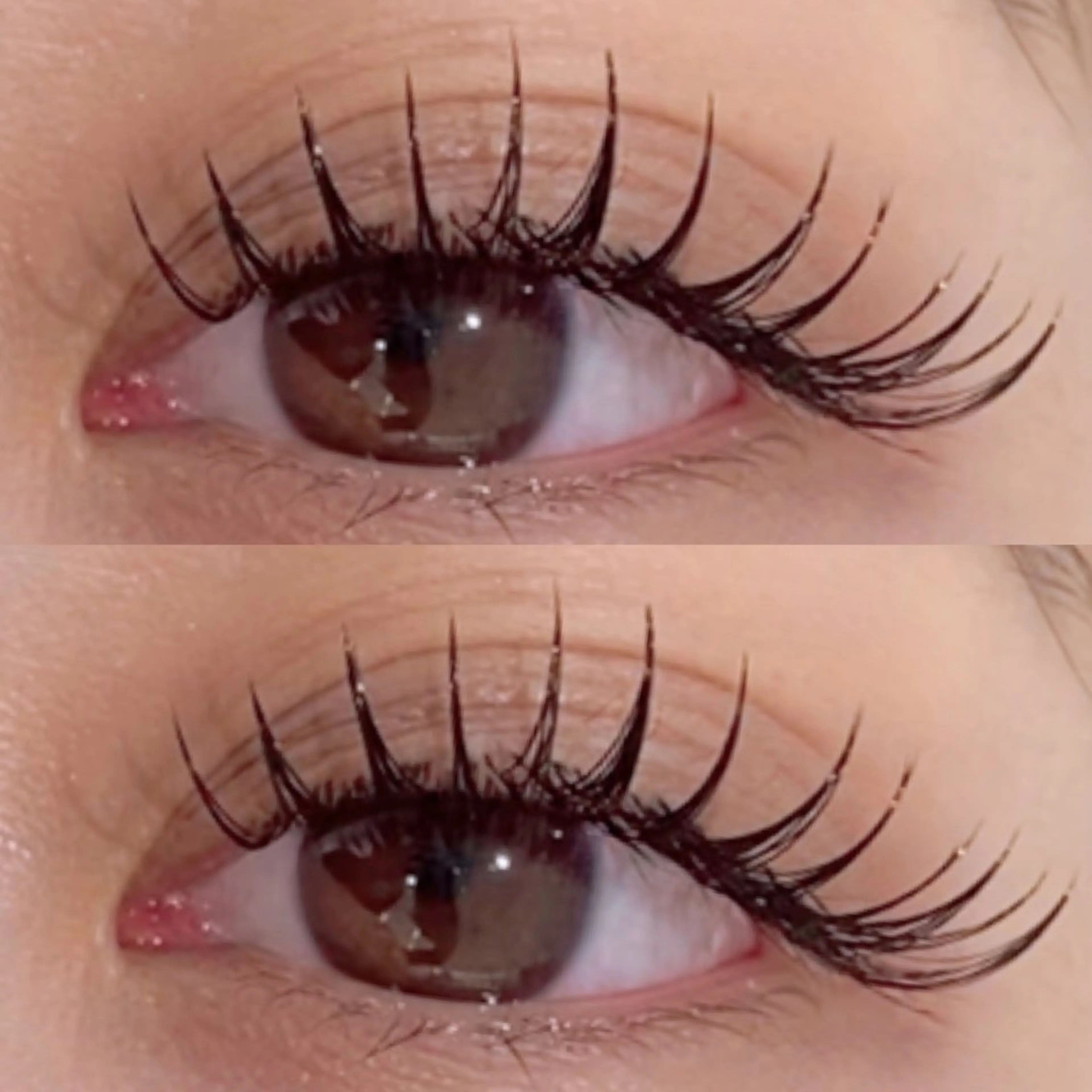 マツエク・マツパ 束感まつ毛 フラットラッシュ renelle matsuiのマツエク・マツパデザイン