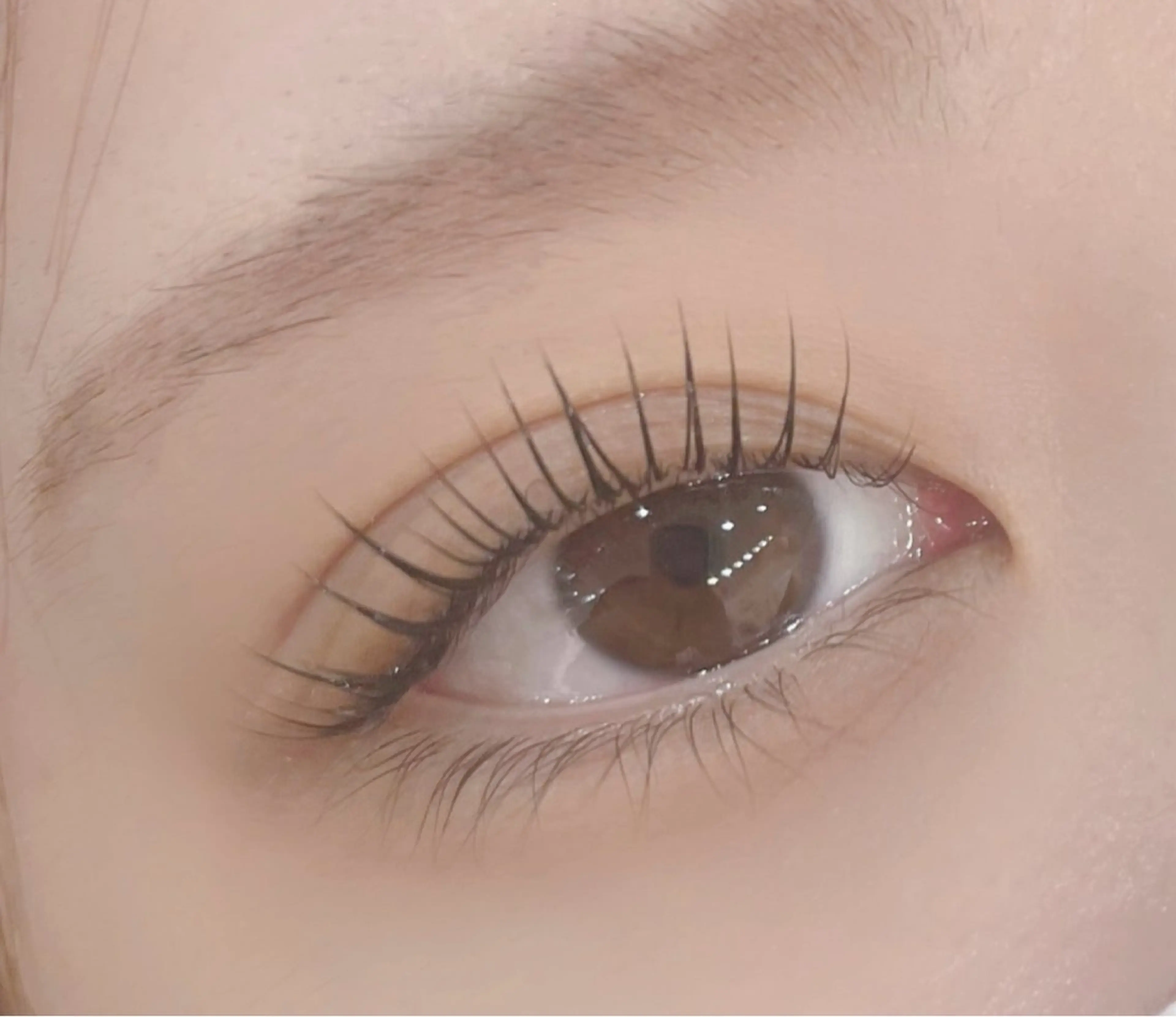 マツエク・マツパ マツパ IIJIMA /まつパ/パリ/束感のマツエク・マツパデザイン