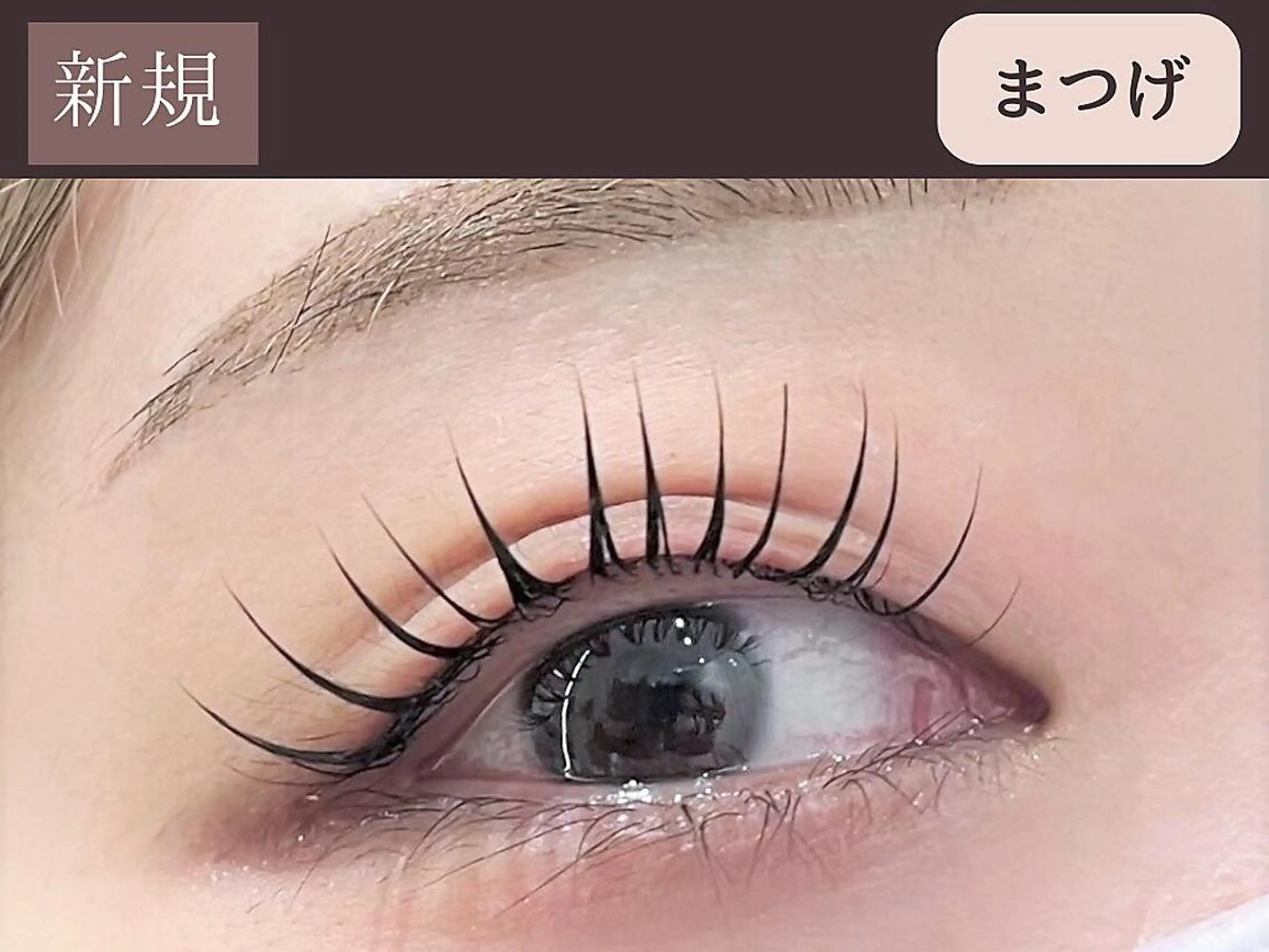 【ミニモ特別価格】まつげパーマ上＋アイトリートメントの写真