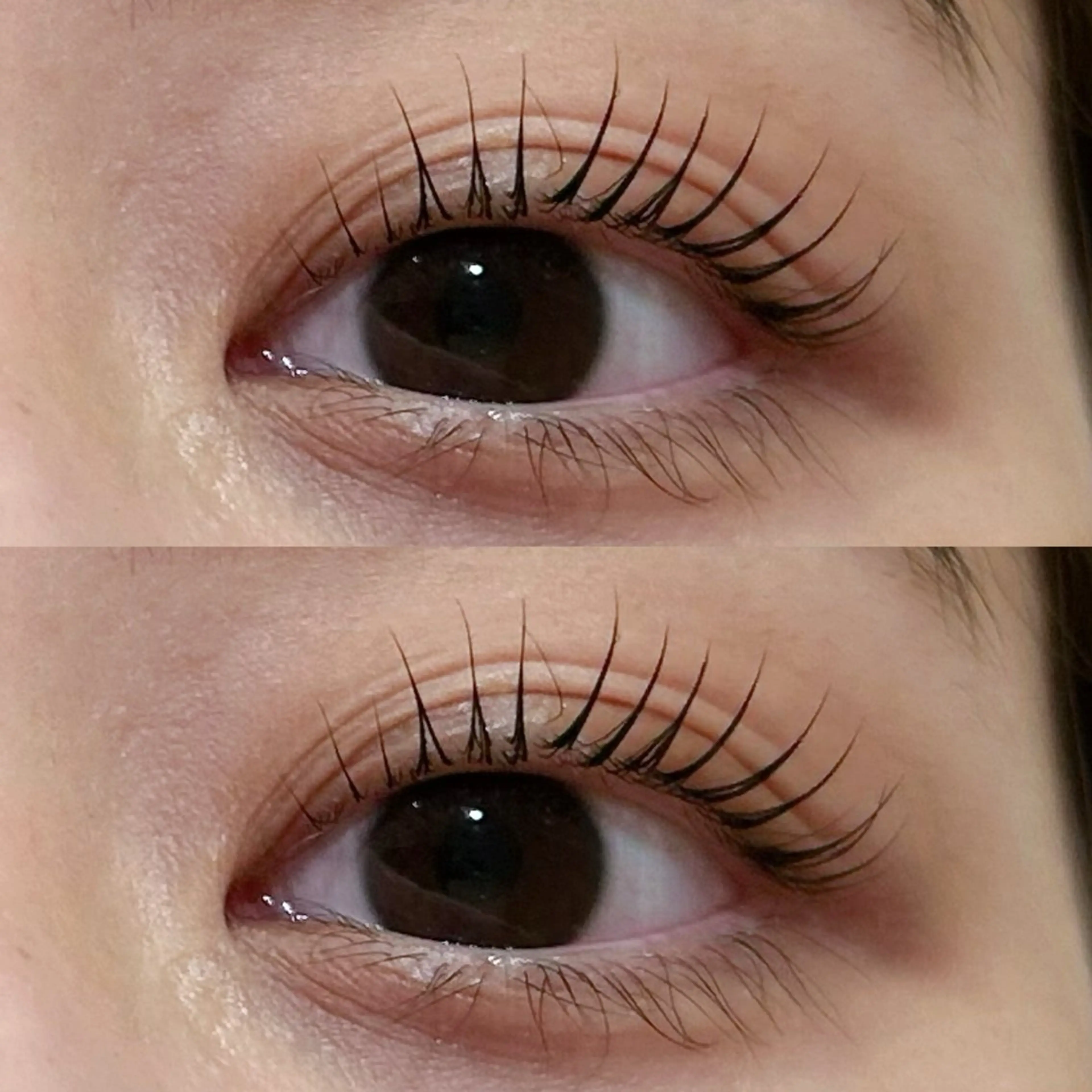 マツエク・マツパ マツパ まつエク/まつパ /カラー/Misaのマツエク・マツパデザイン