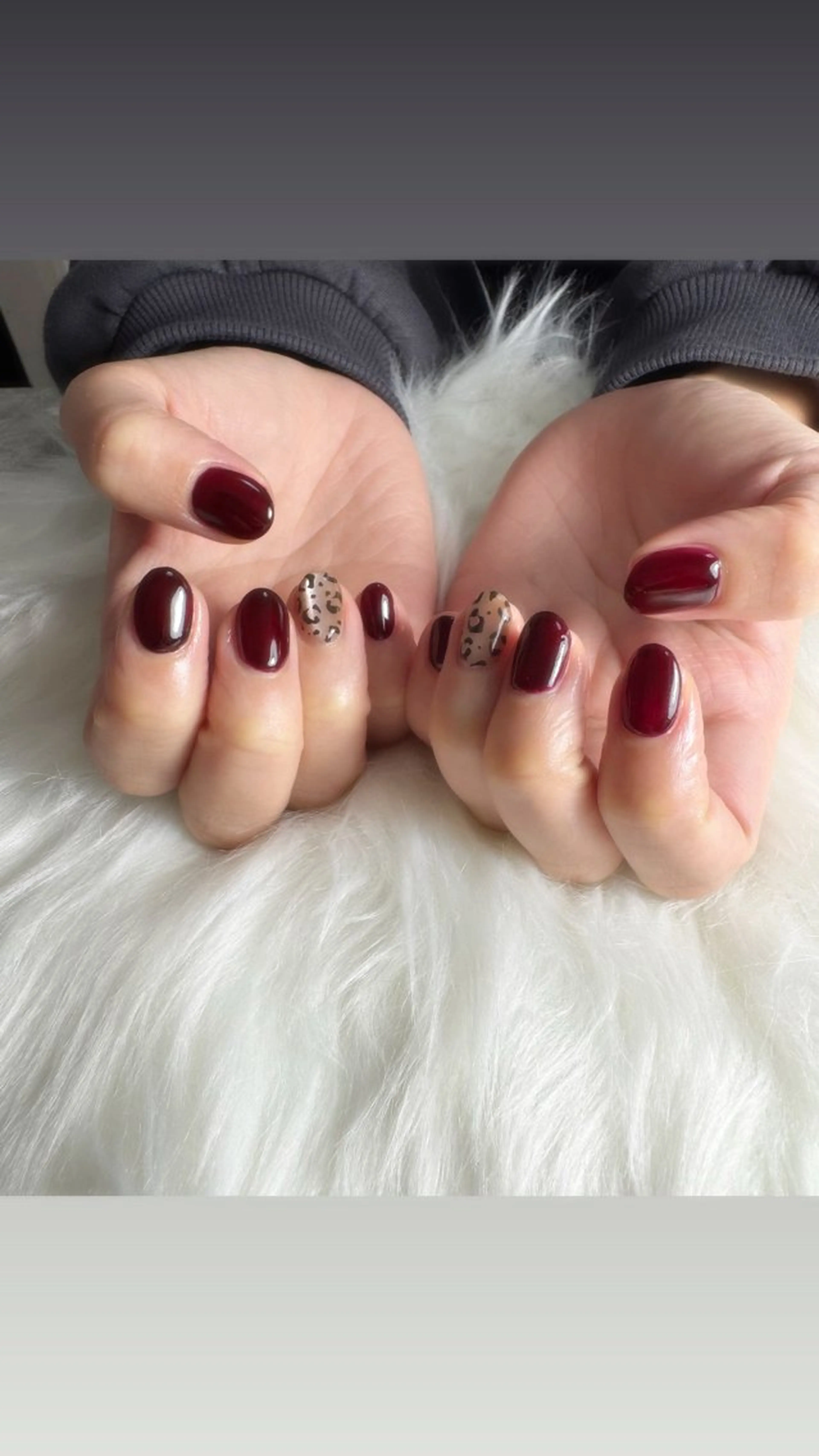 【オフあり】シンプルアート ミニモ限定価格¥6600→5500の写真