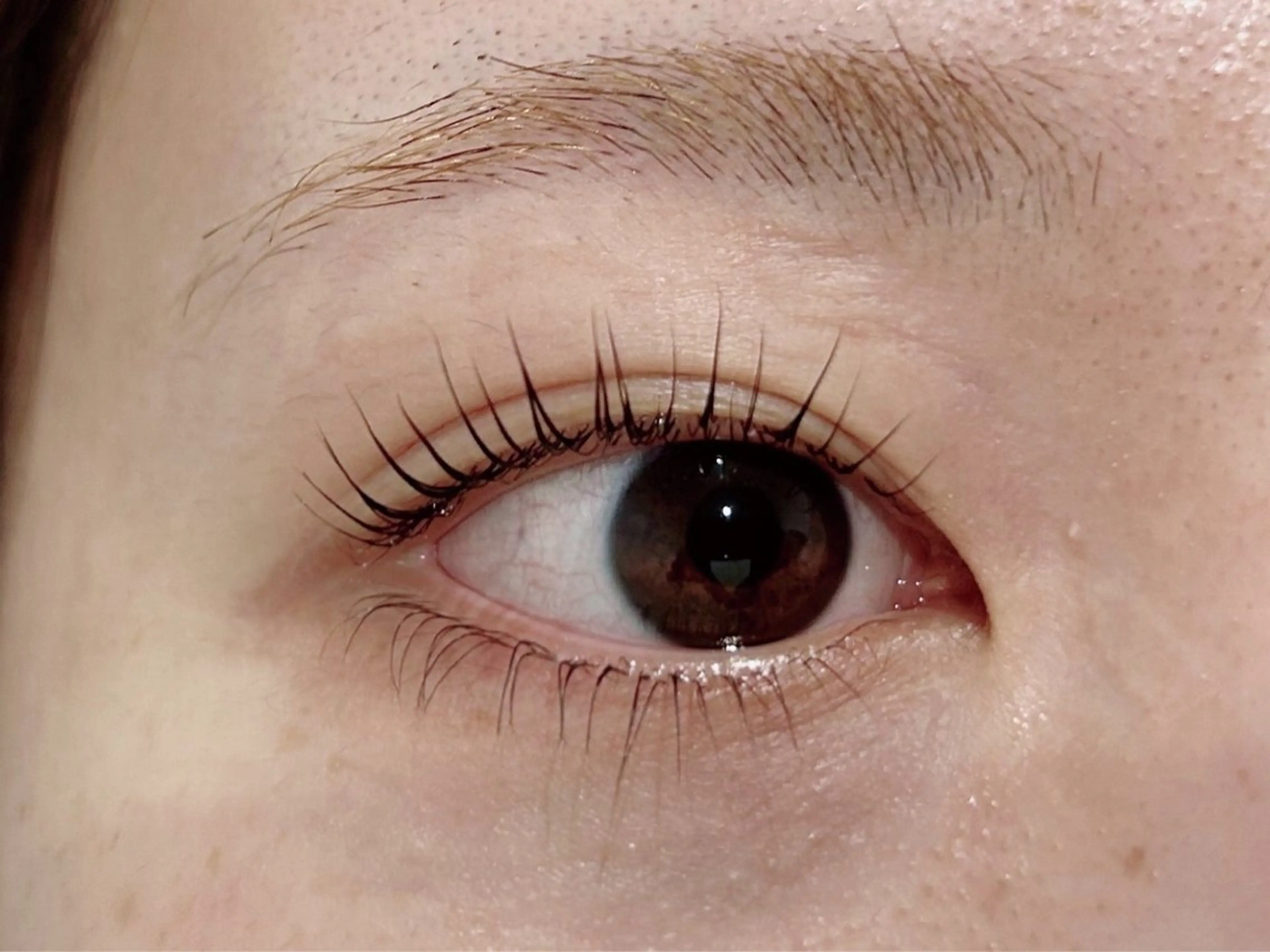 パーマ マツパ Lily NAOMIのマツエク・マツパデザイン