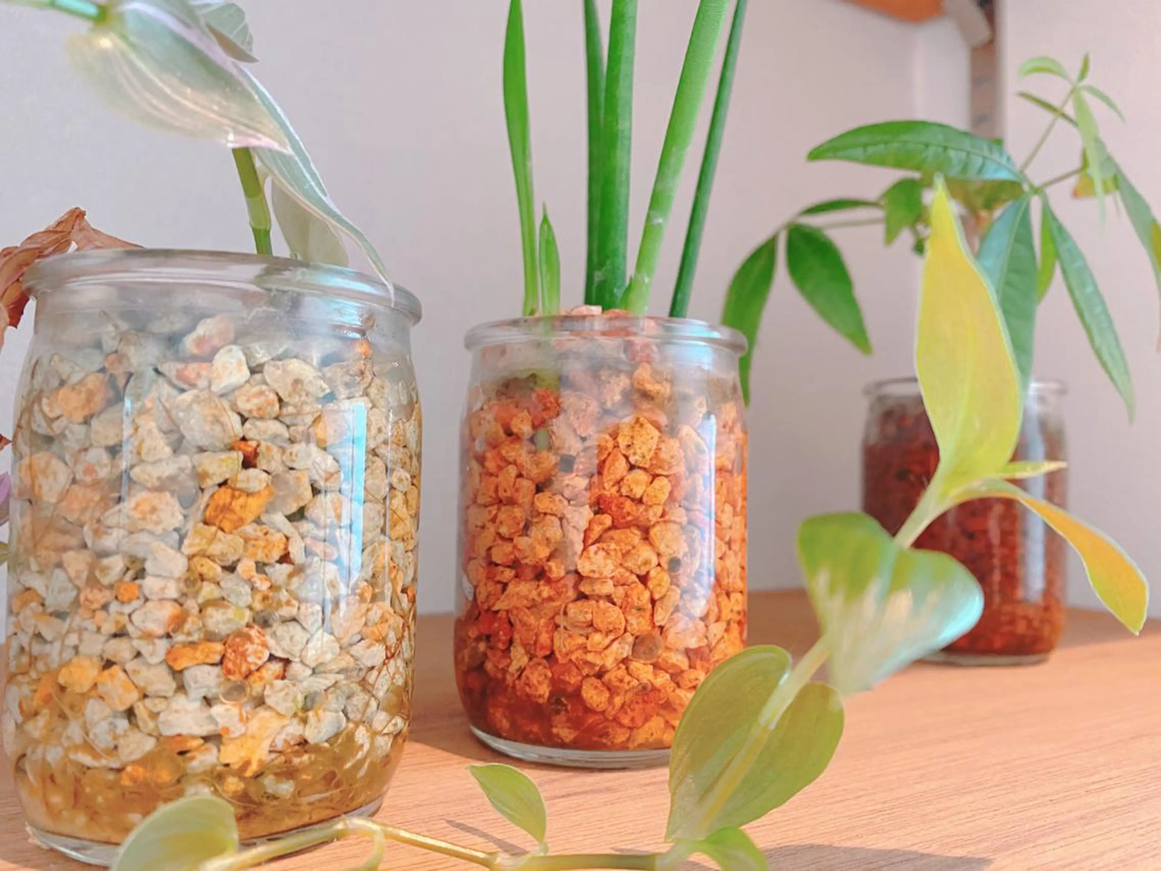 retreat リトリートのマツエク・マツパデザイン