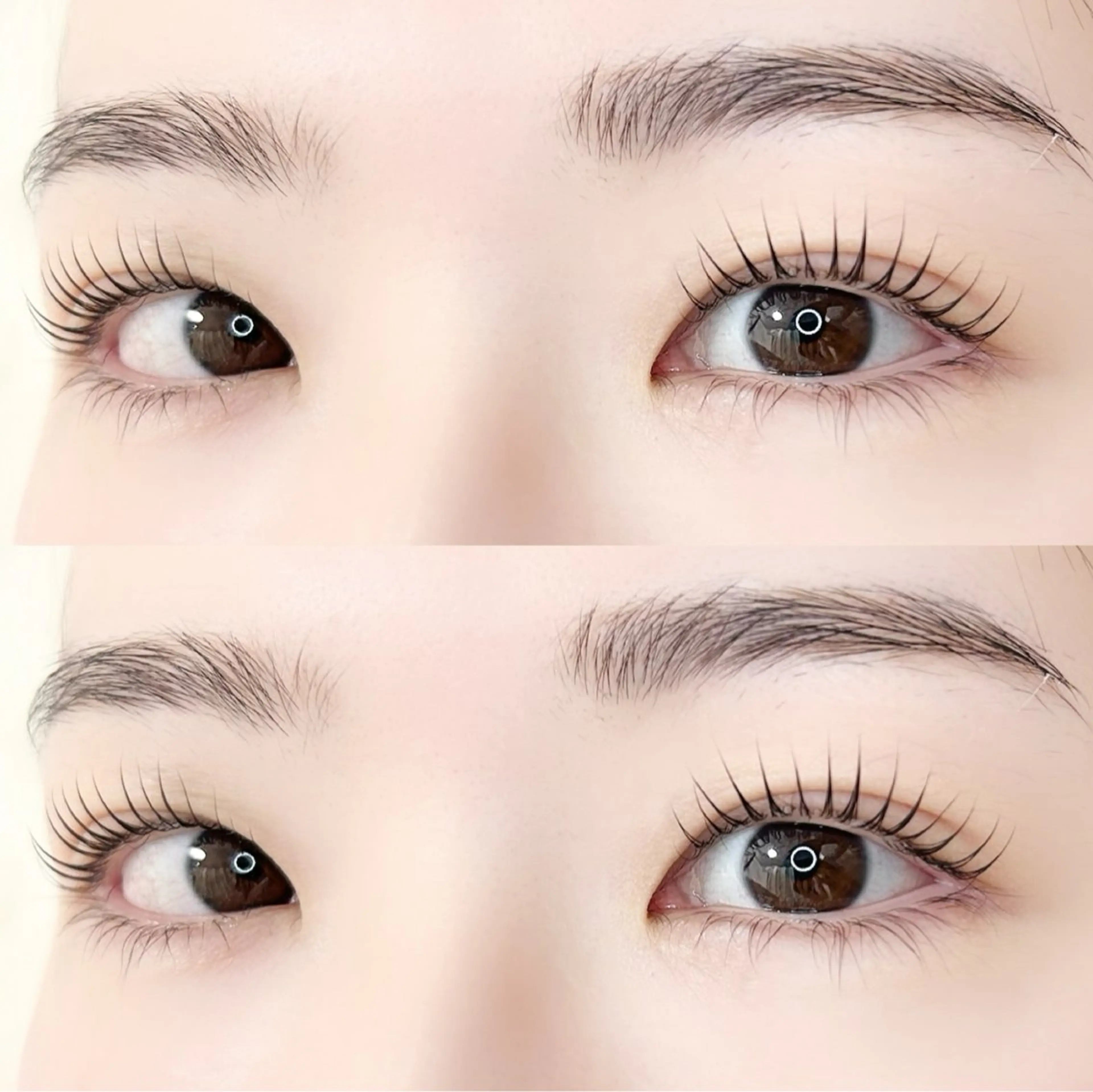 マツエク・マツパ マツパ Gluttony/ ｸﾞﾗﾄﾆｰ＊ユキのマツエク・マツパデザイン