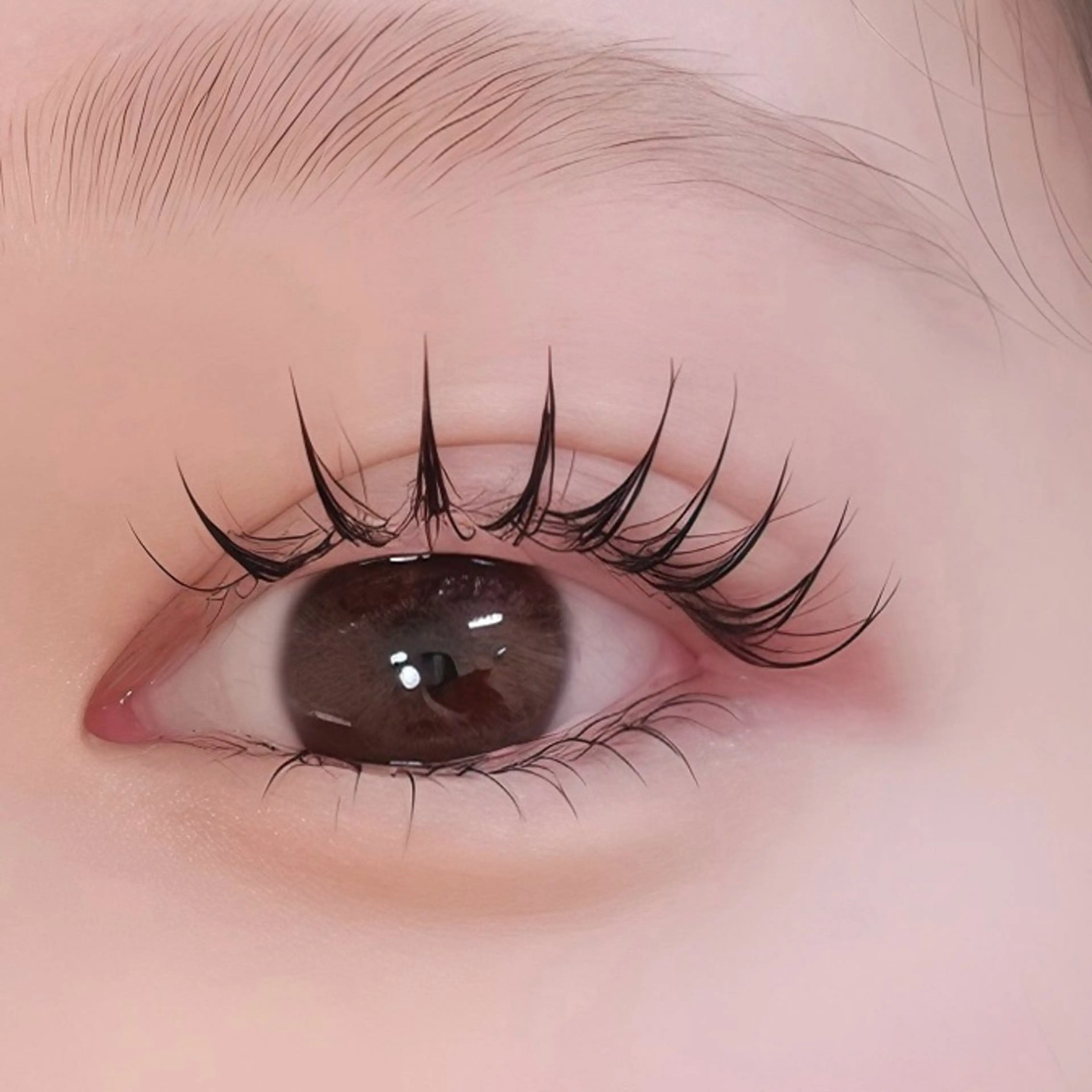 マツエク・マツパ フラットラッシュ agrabah 🎀Sayakaのマツエク・マツパデザイン