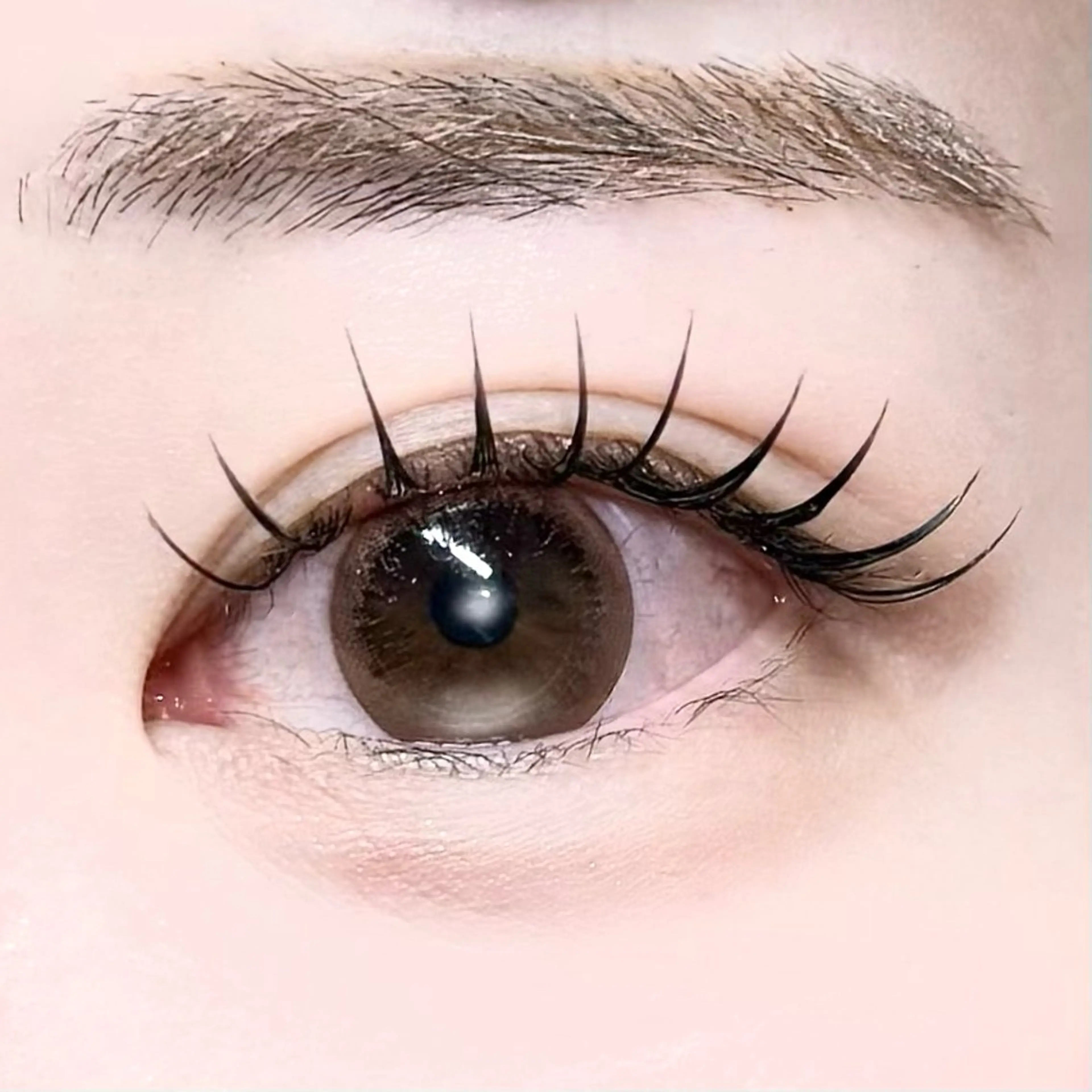 【オフ・コーティング込み】圧倒的持続力🌟💡LED💡🌟フラットエクステ100​〜​140本（付け足しOK⭕️）の写真