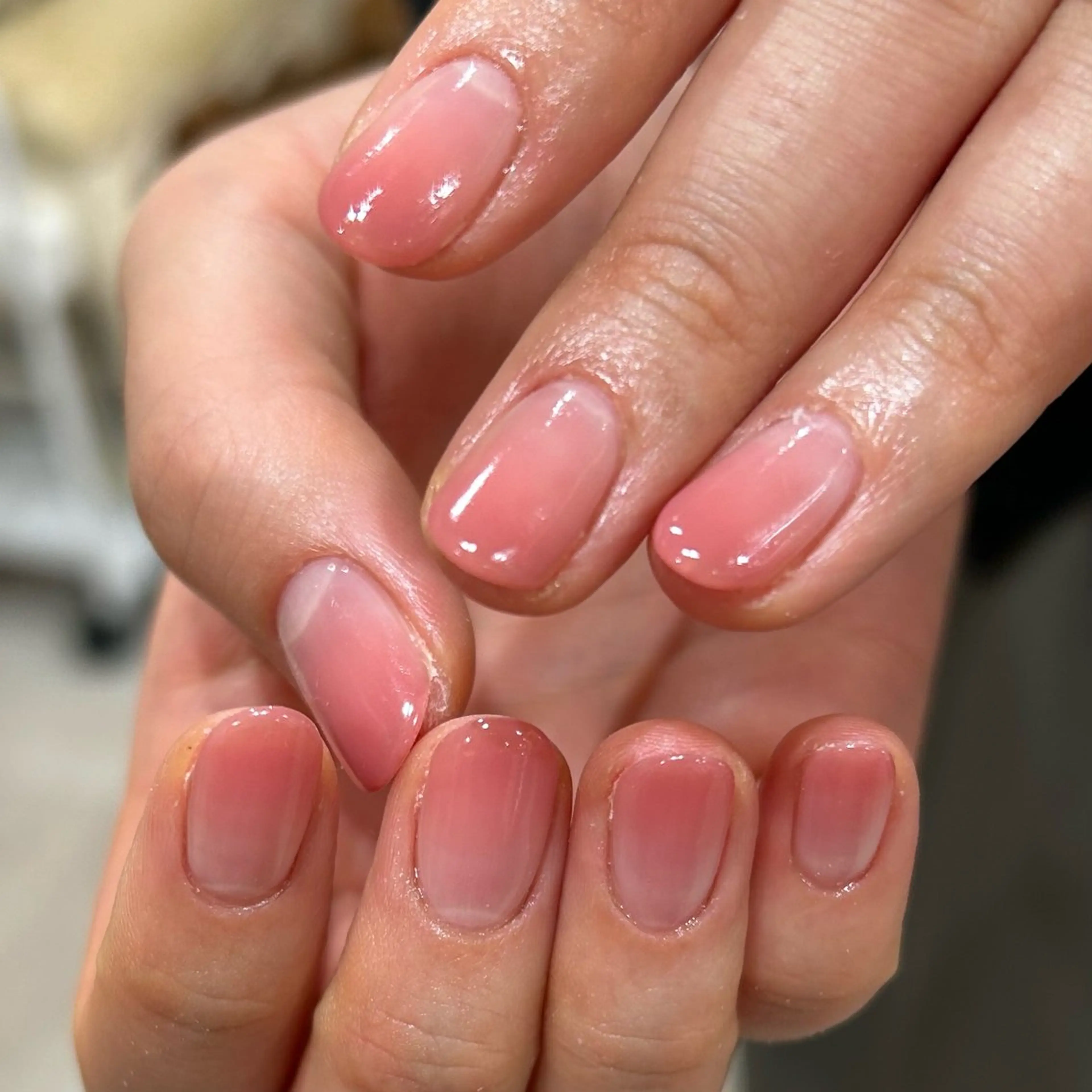 《off無》カラーグラデーション🪸の写真