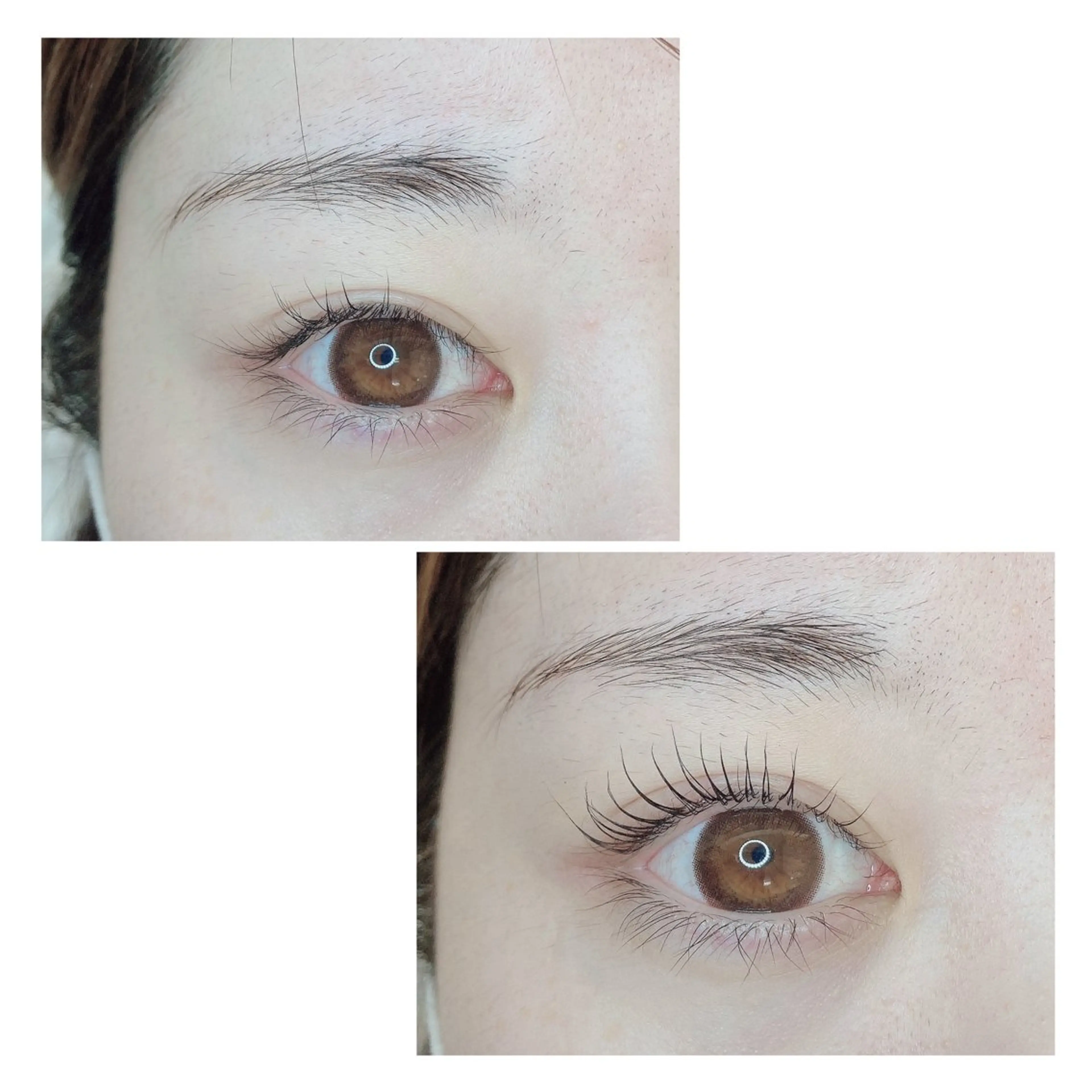 マツエク・マツパ TIARA池袋西口店 店長YASUKA💐のマツエク・マツパデザイン