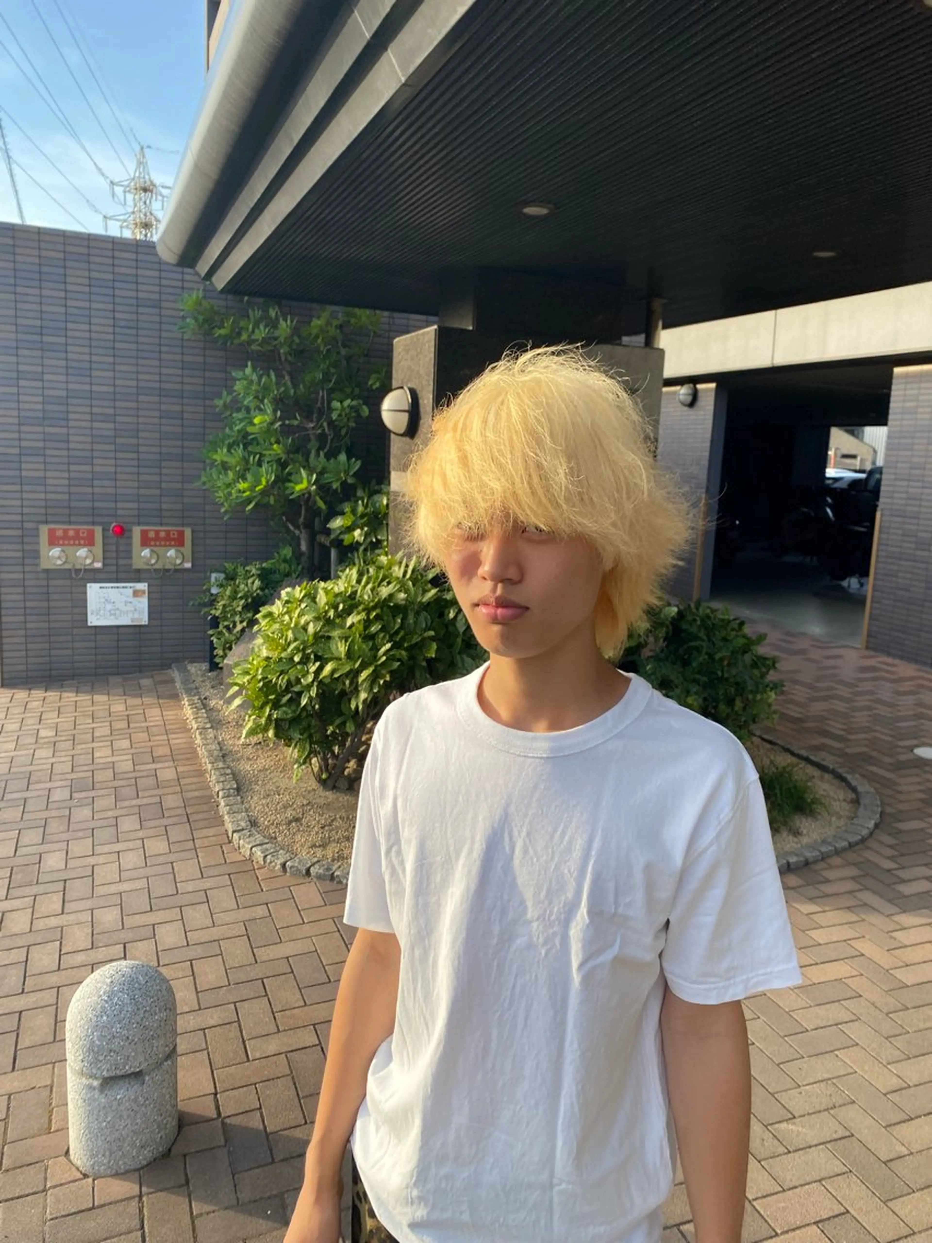 ショート 壱成/髪質改善/ カラーモデル募集中のヘアスタイル