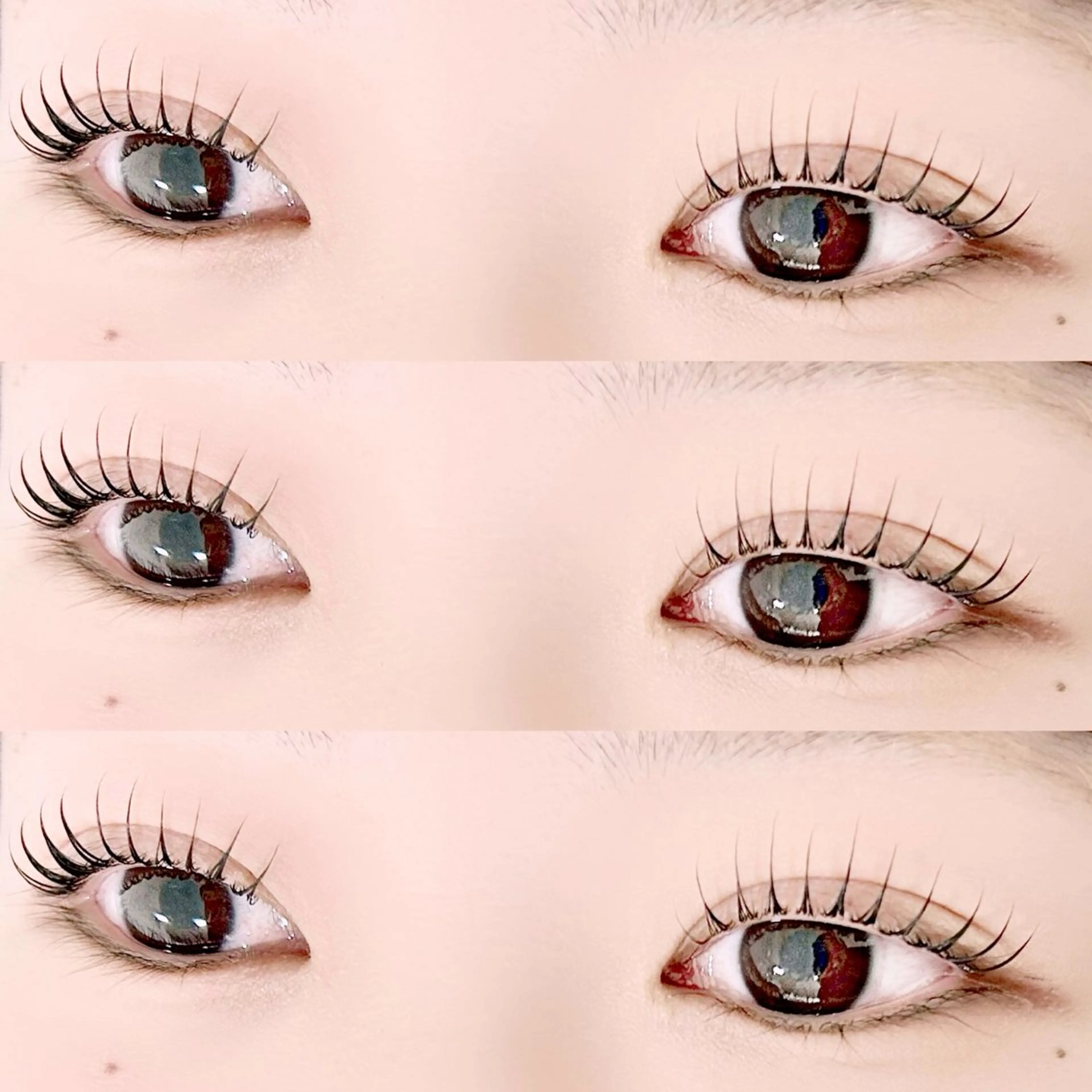 【今話題のブラックティント】まつげパーマ🦦の写真