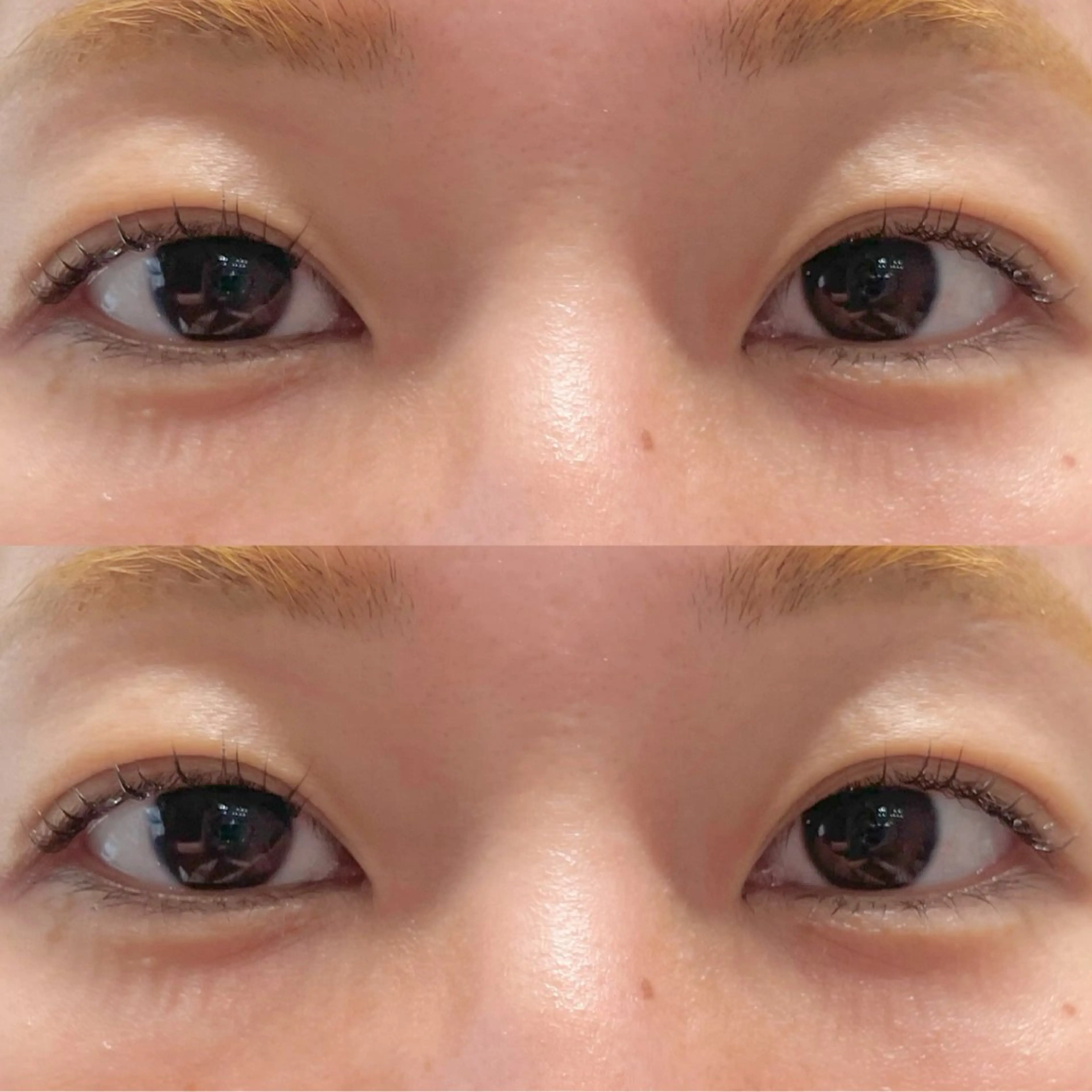 マツエク・マツパ マツパ coel hairsalon所属・YUKINO 🐈‍⬛のマツエク・マツパデザイン