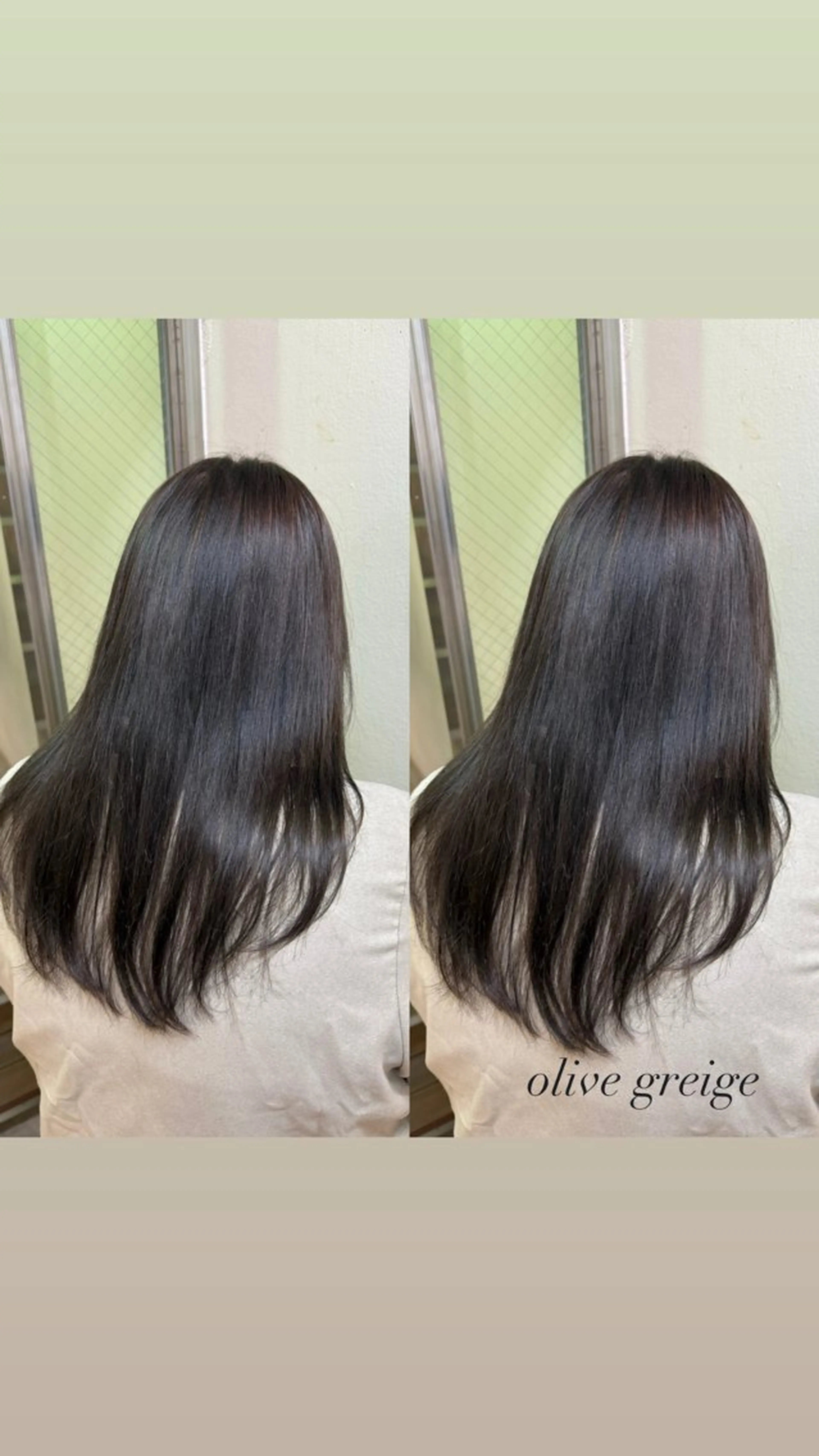 ロング カラー 透明感カラー グレージュ オリーブグレージュ オリーブグレー カット ヘアカラー 暖色カラー/ ストレート/くるみのヘアスタイル
