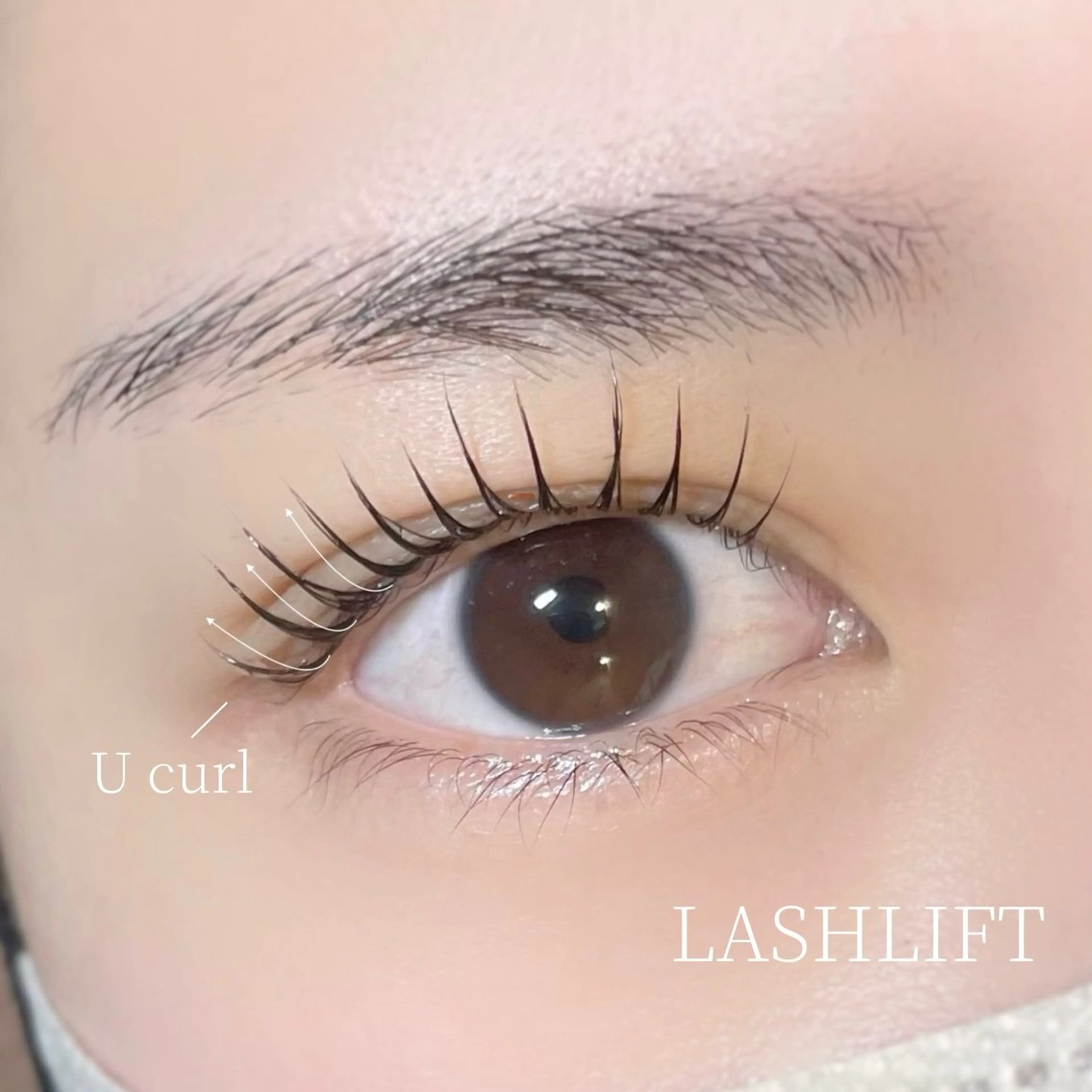 アイブロウスタイリング×似合わせまつげパーマの写真