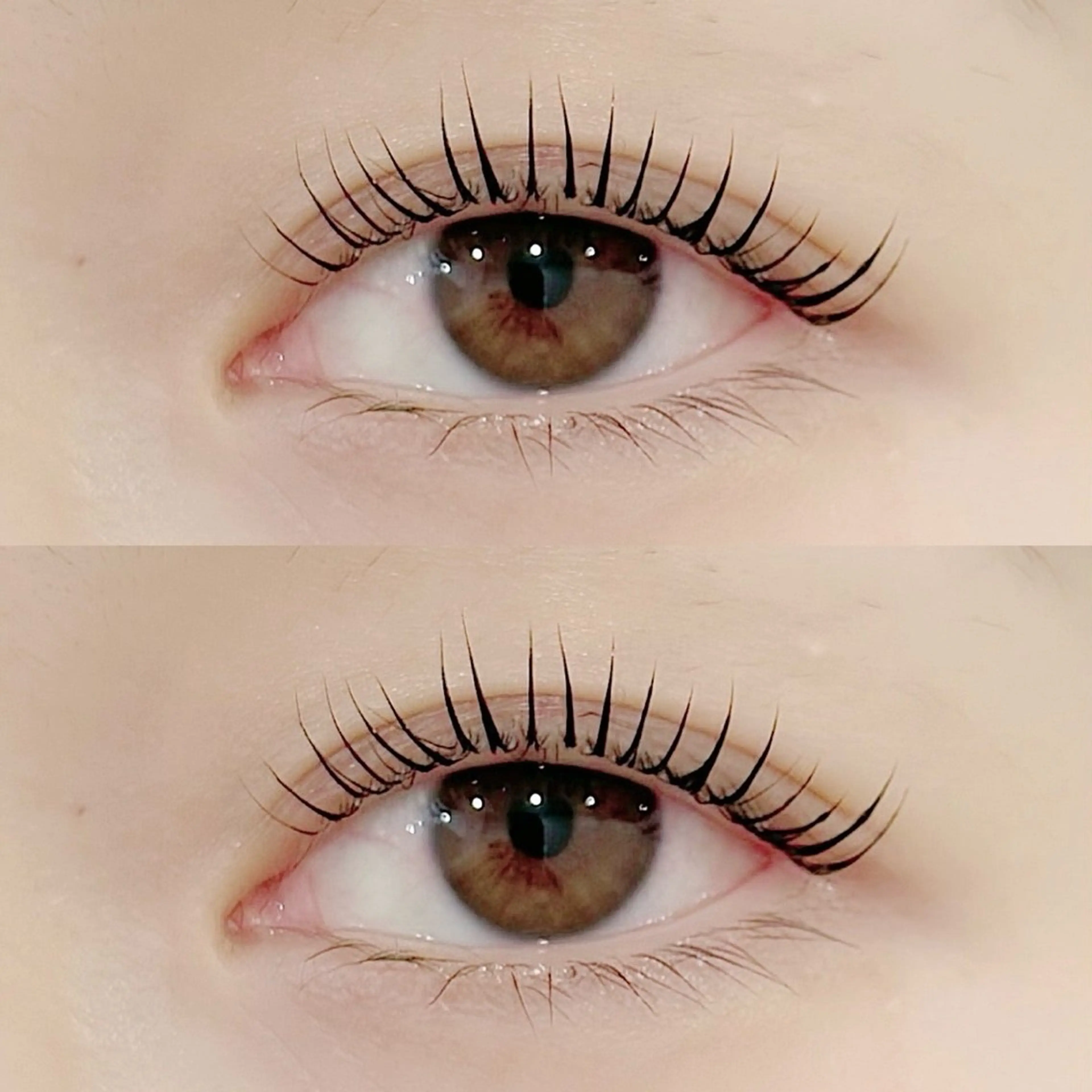 5月6日10：00～ まつ毛パーマ無料モデルの写真