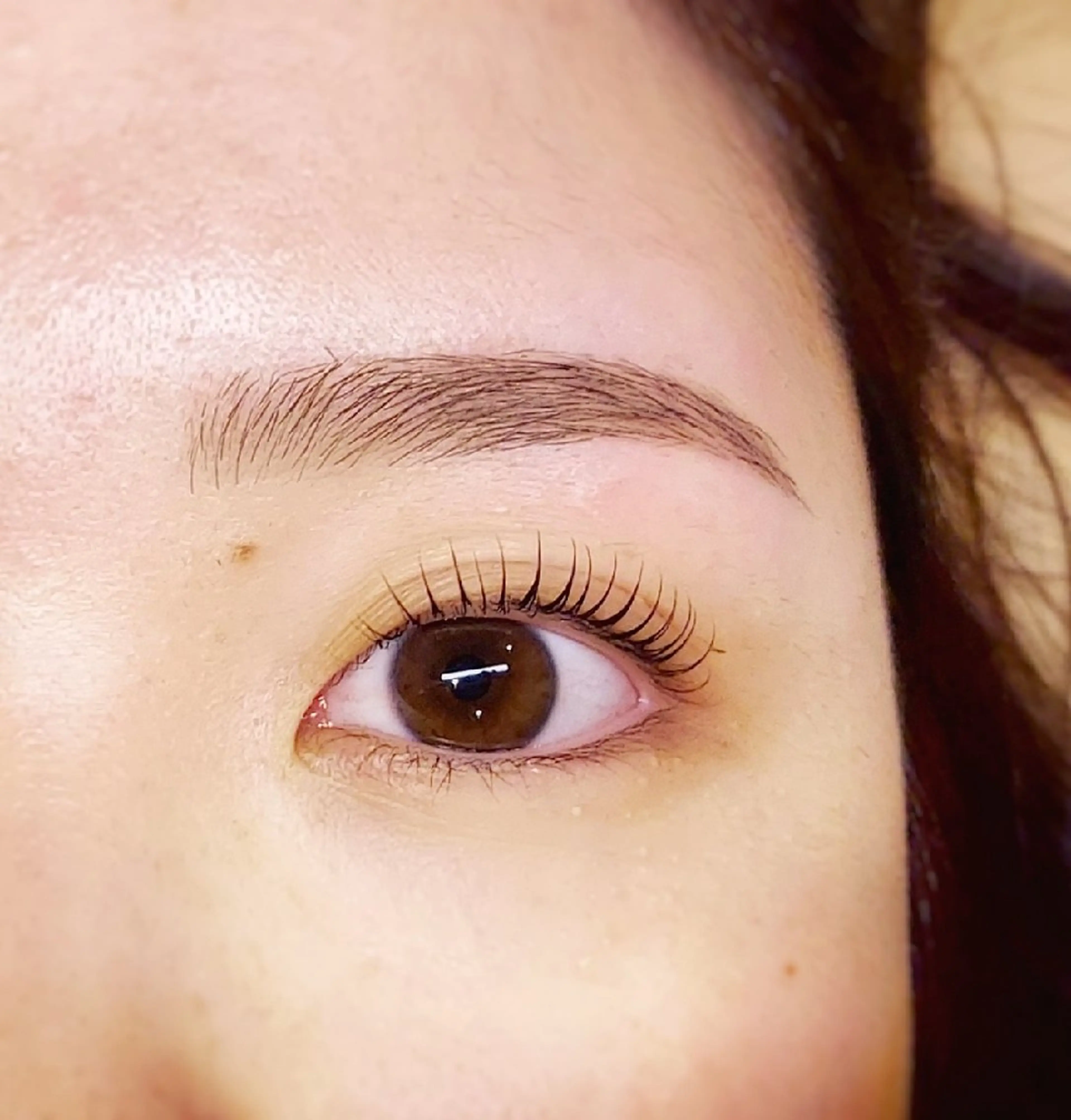 マツエク・マツパ マツパ U_la [ウーラ] 片岡の眉毛・アイブロウイメージ