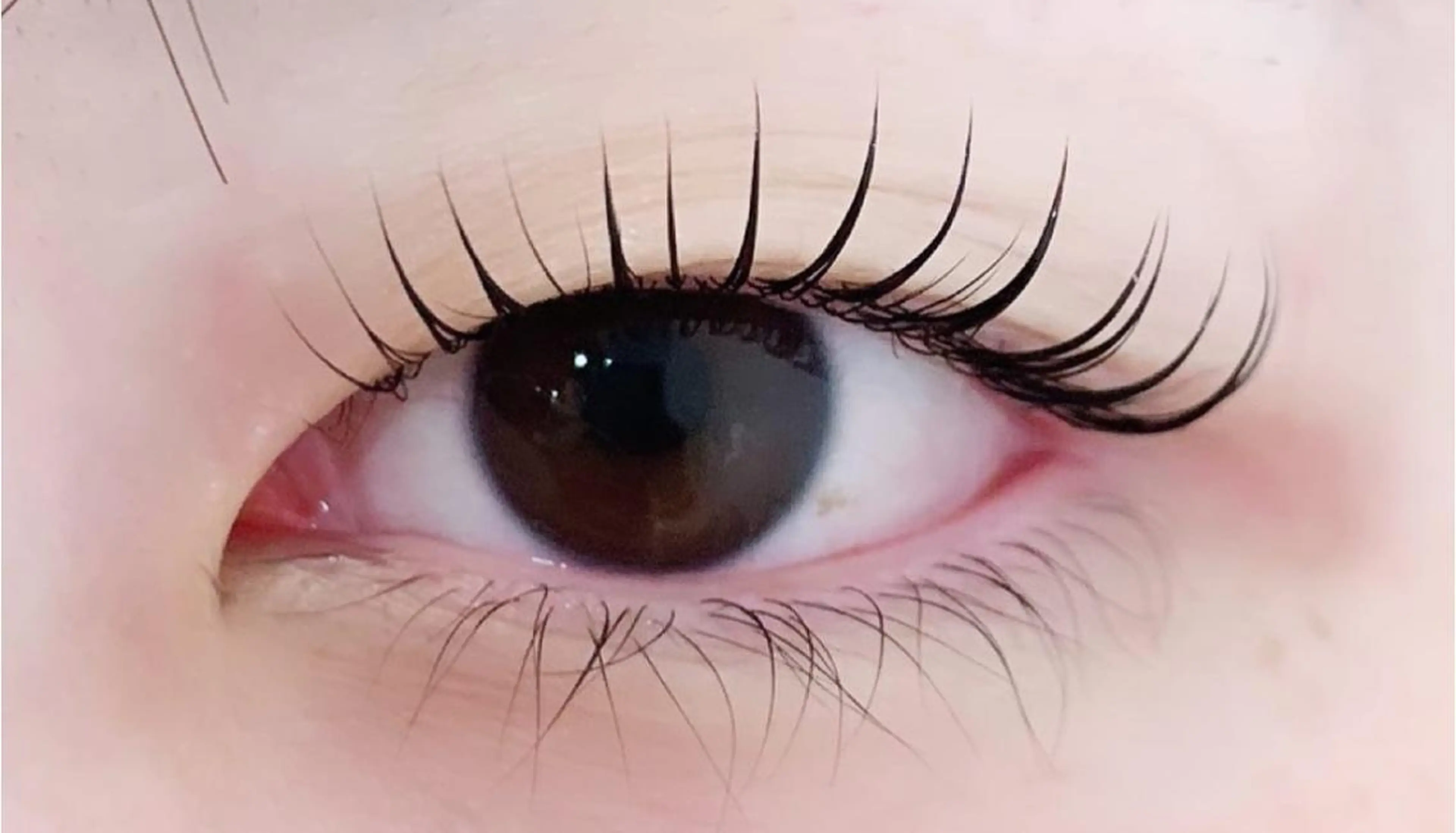 パーマ 🌼 momoの眉毛・アイブロウイメージ