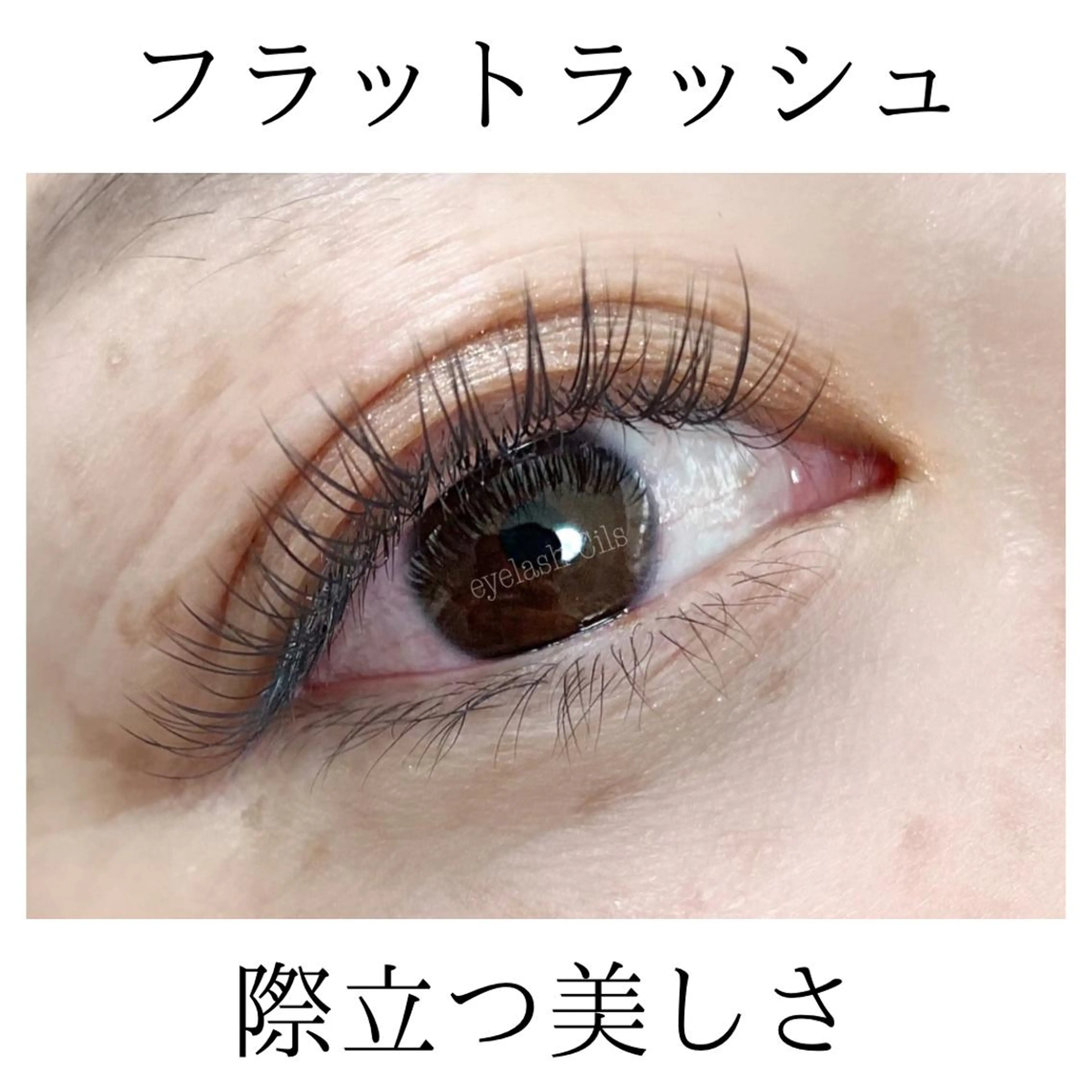マツエク・マツパ フラットラッシュ マツエク eyelash Cils所属・下野 ミチコのマツエク・マツパデザイン