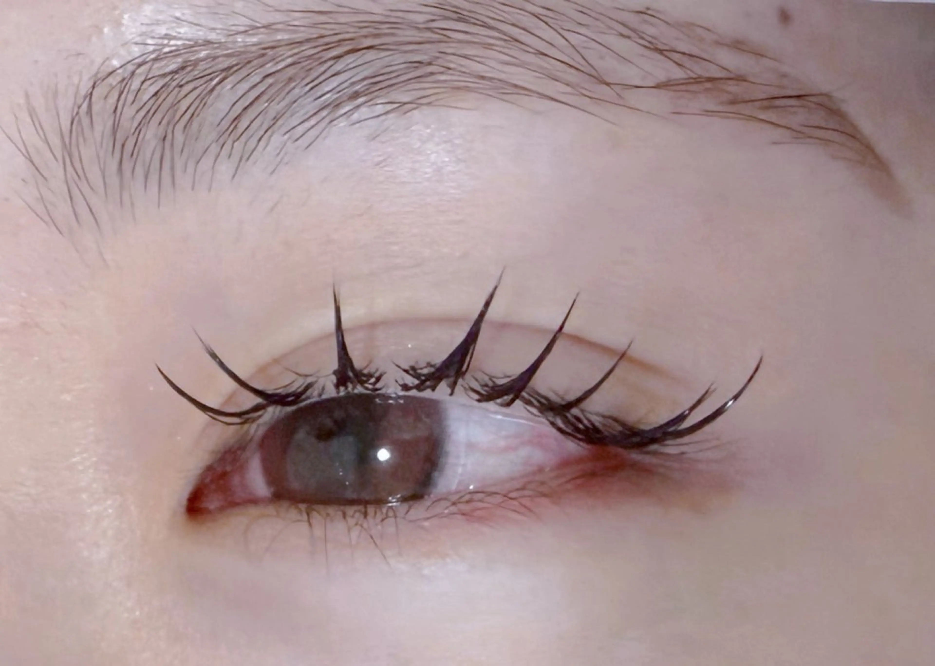 マツエク・マツパ 束感まつ毛 フラットラッシュ Jカール EYELA 𝑴𝑨𝑯𝑶🍒のマツエク・マツパデザイン