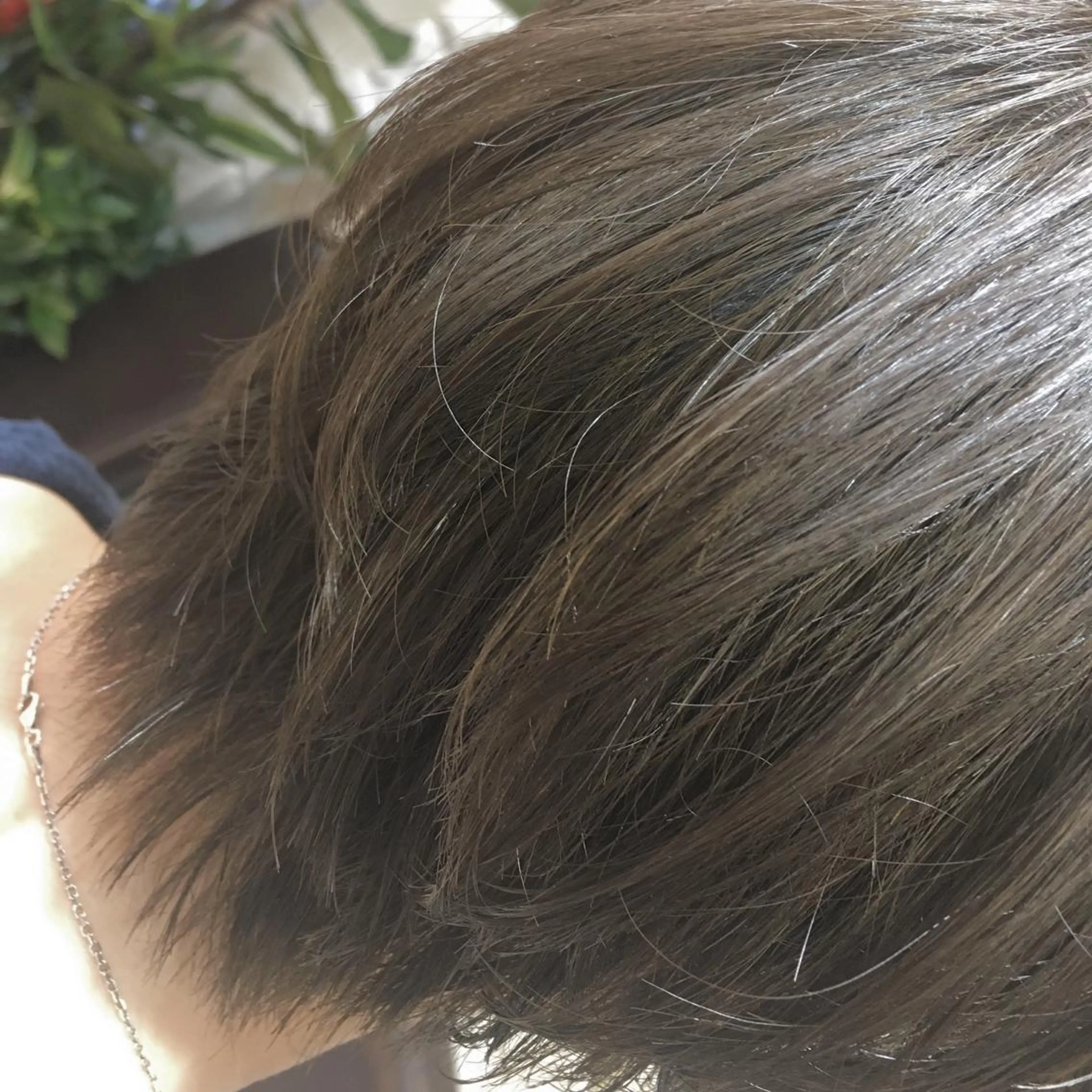 ショート カラー ショートヘア 藤井 仁紀のヘアスタイル