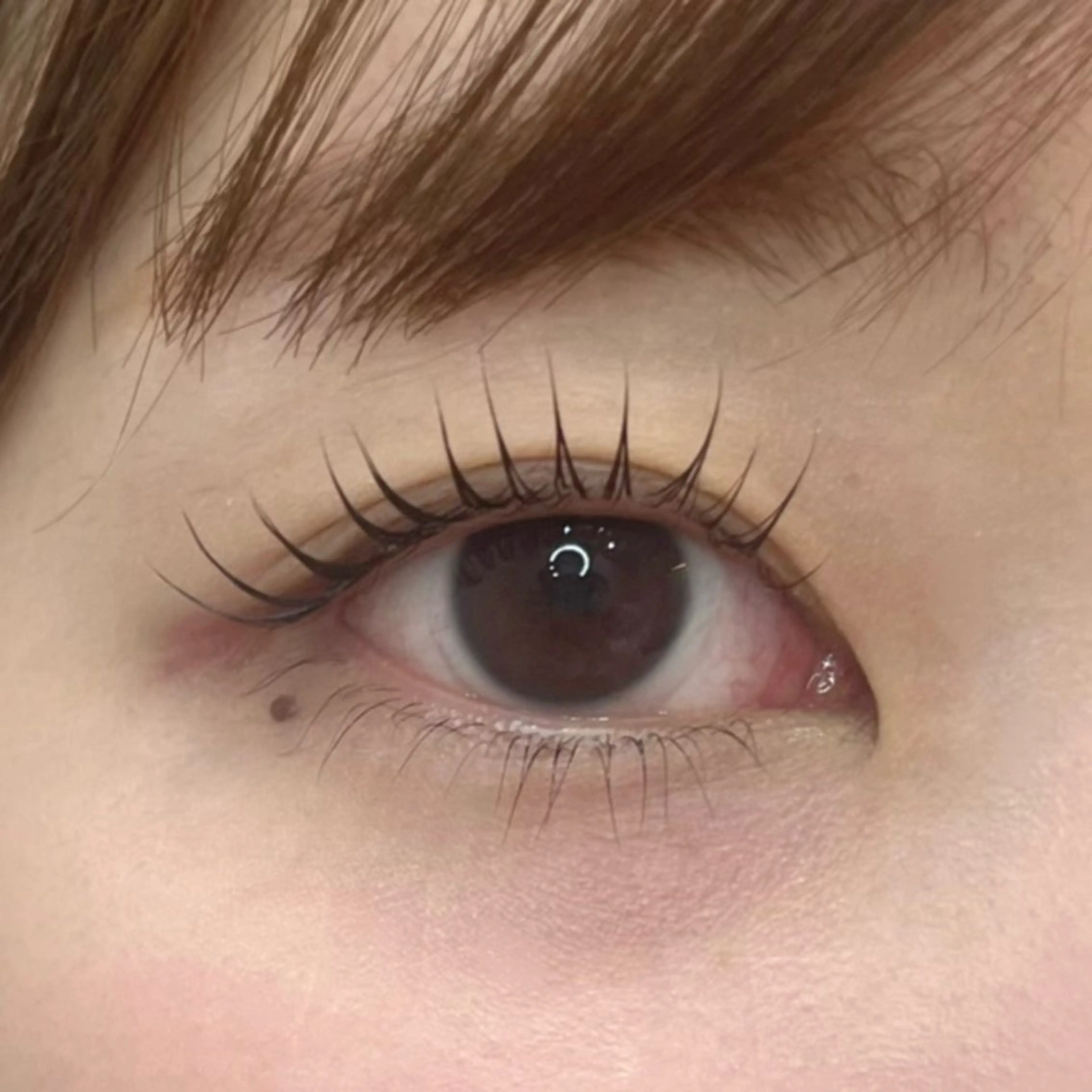 【🍒初回限定🍒】パリジェンヌラッシュリフト＆アイブロウワックス脱毛(カール変更可)の写真