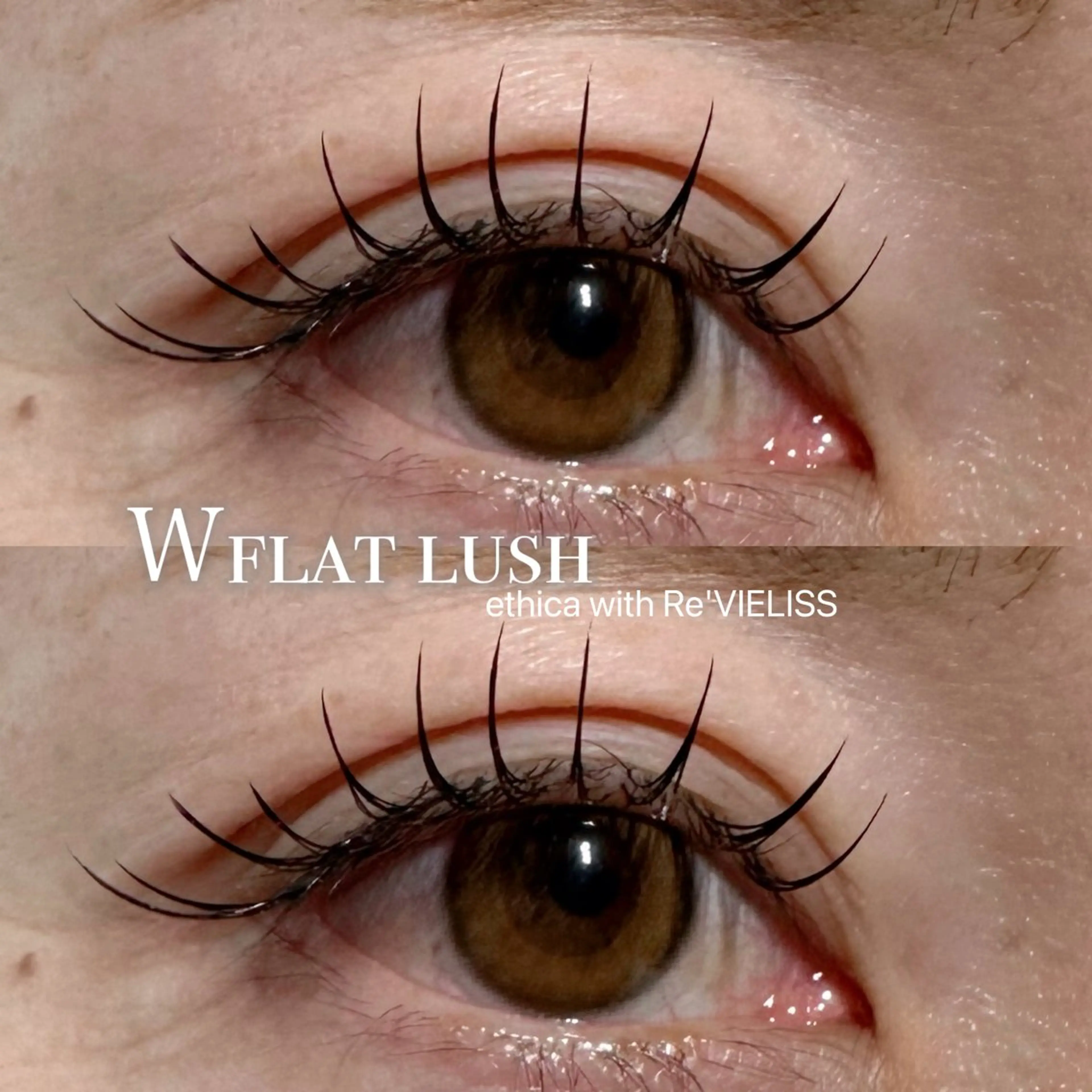 【韓国束感仕上げ】ダブルフラットラッシュ100束(200本) ※LEDに変更1100円の写真