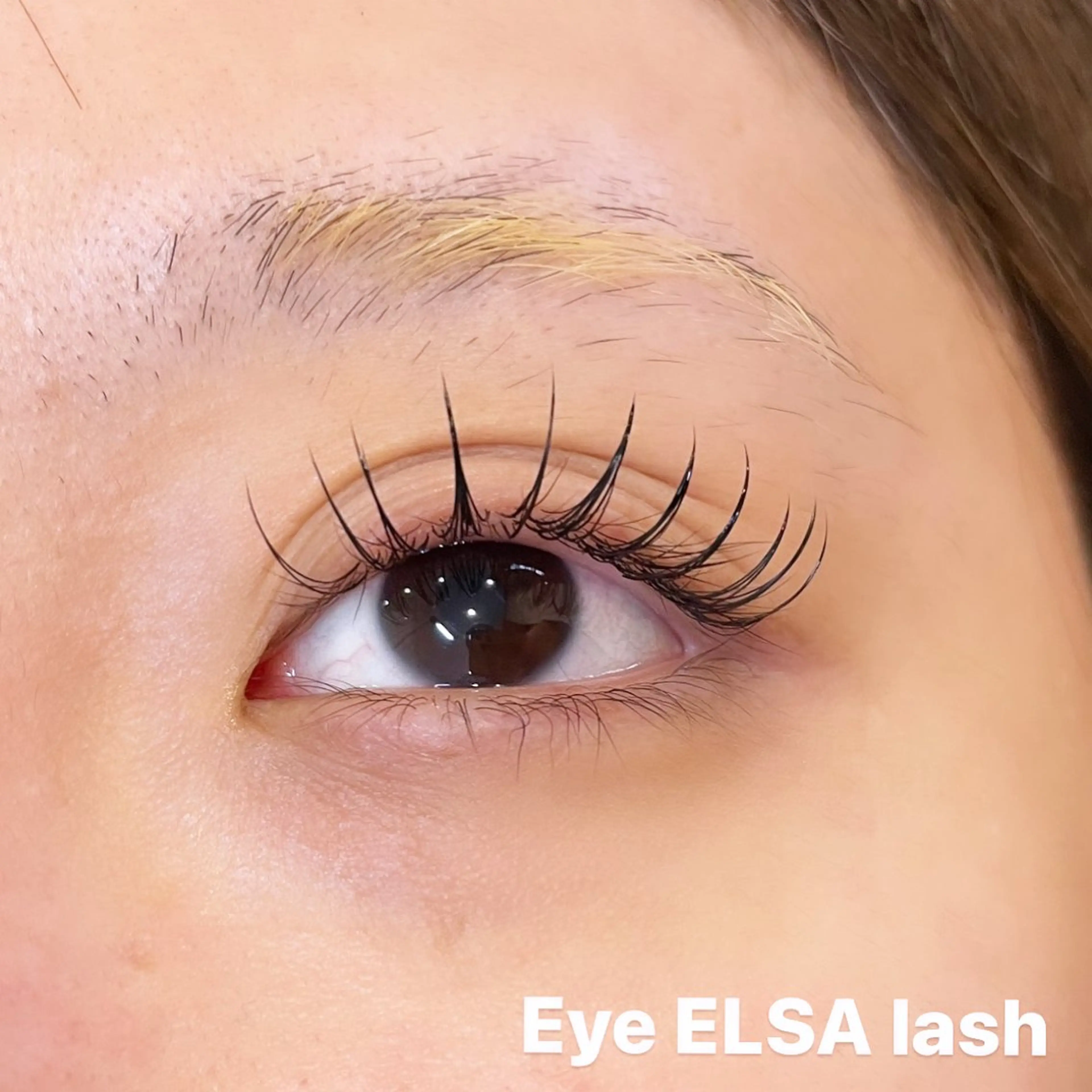 マツエク・マツパ マツエク Eye ELSA lash 鈴木のマツエク・マツパデザイン